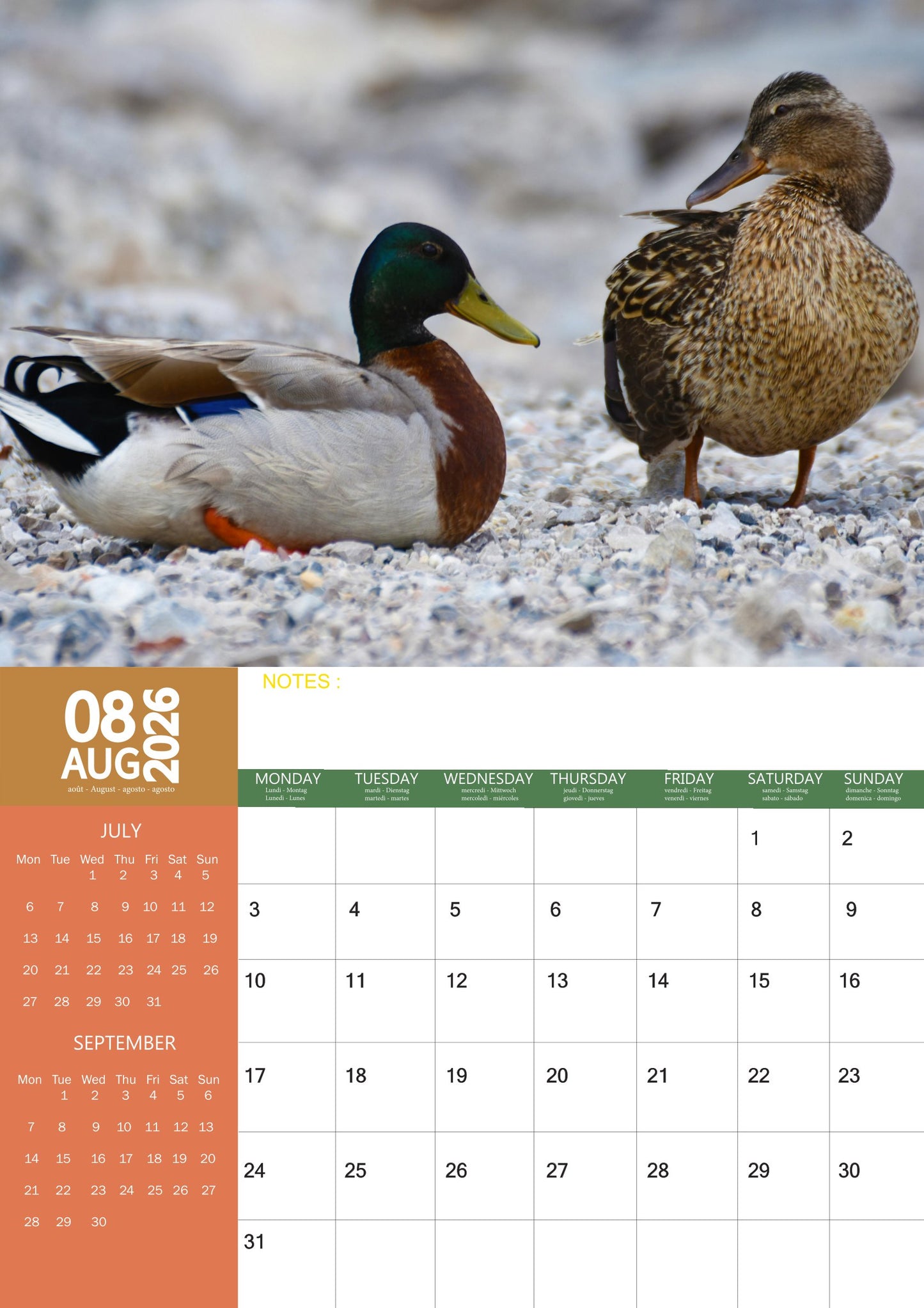 Duck Calendar 2026 – M-PRA Range