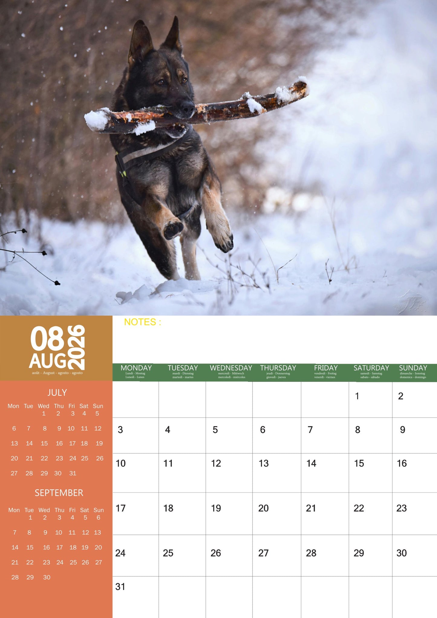 German Shepherd Dog Calendar 2026 – M-PRA Range