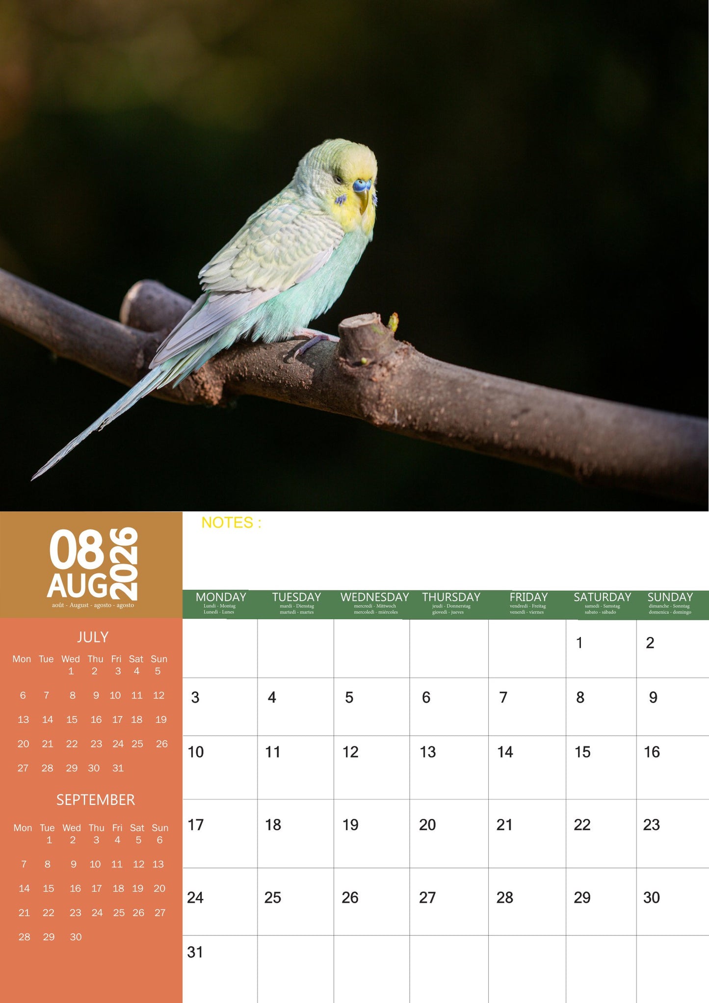 Budgerigar Calendar 2026 – M-PRA Range