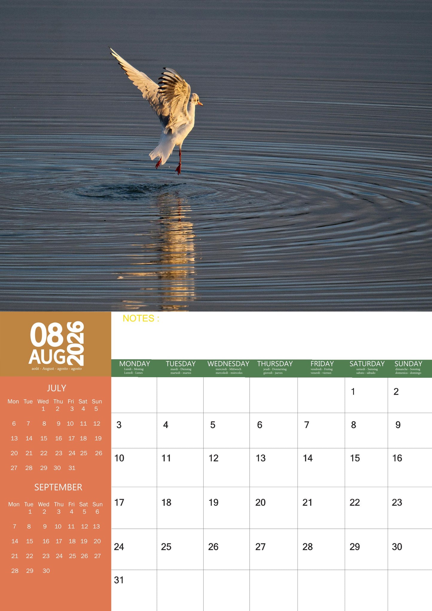 British Wildlife Calendar 2026 – M-PRA Range