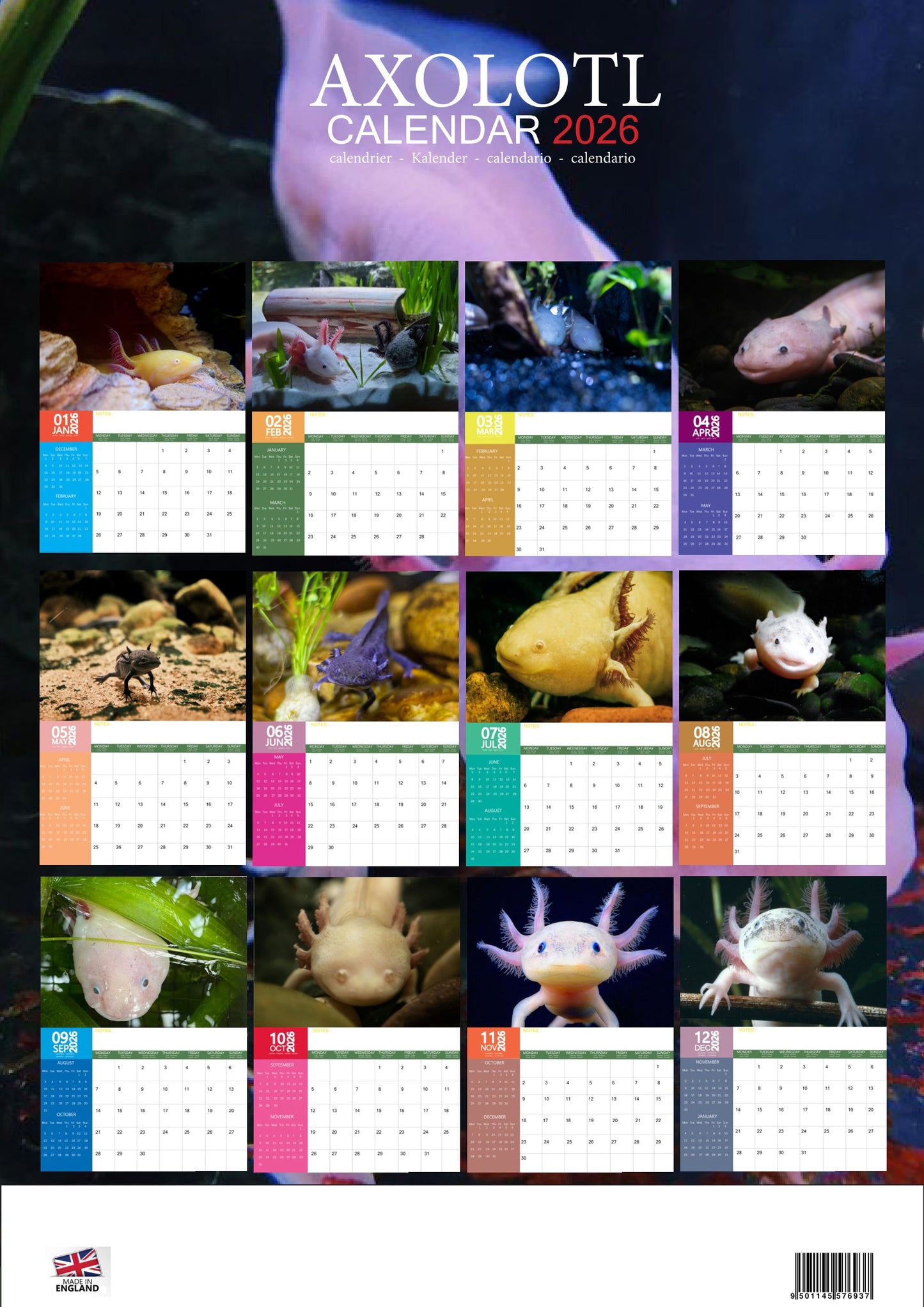 Axolotl Calendar 2026 – M-PRA Range