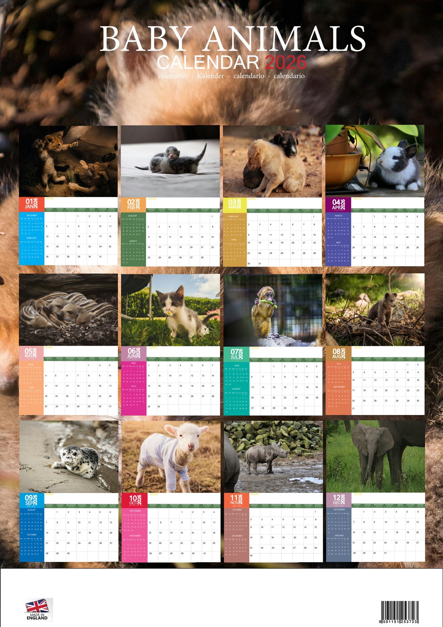 Baby Animals Calendar 2026 – M-PRA Range