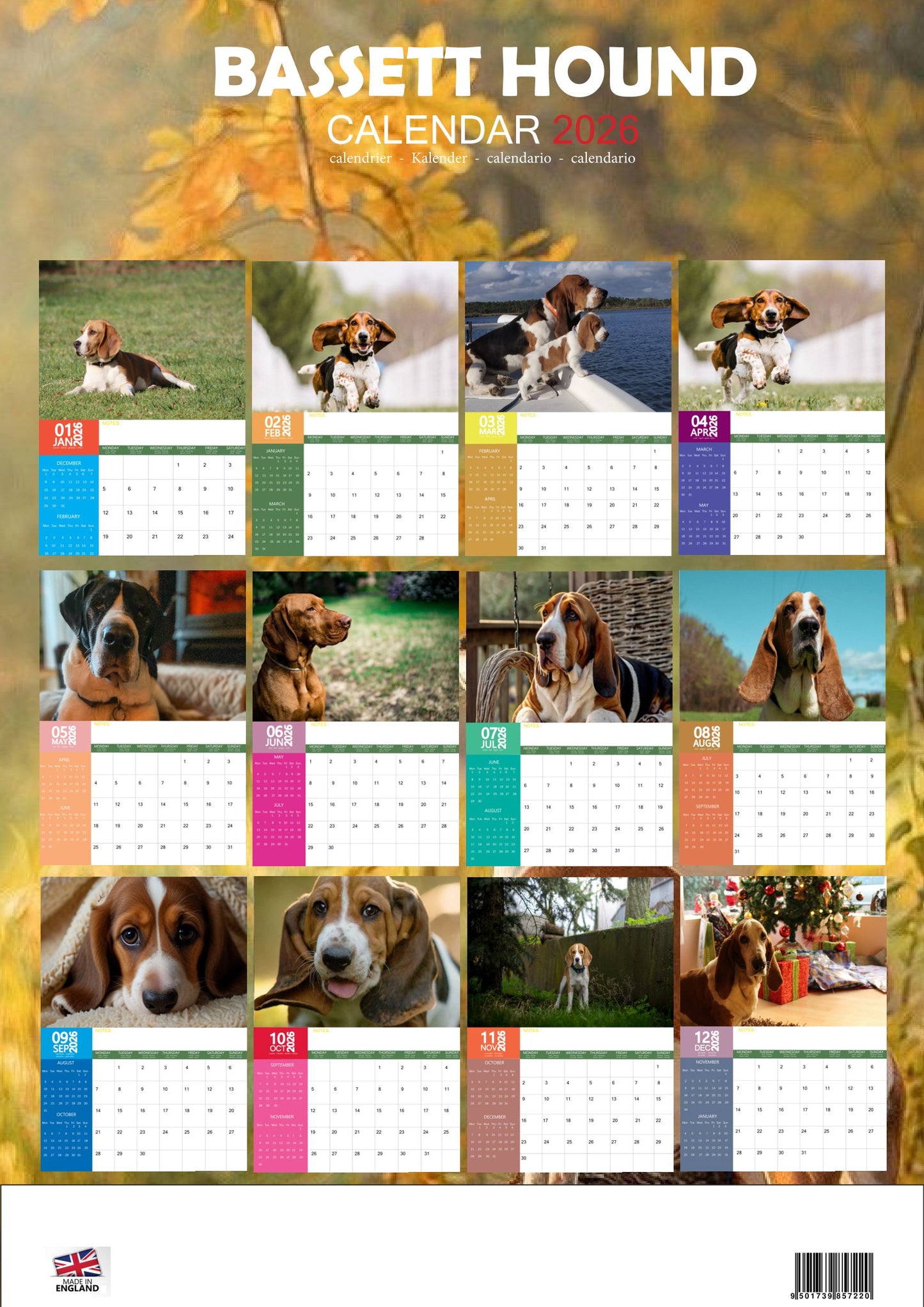 Basset Hound Dog Calendar 2026 – M-PRA Range