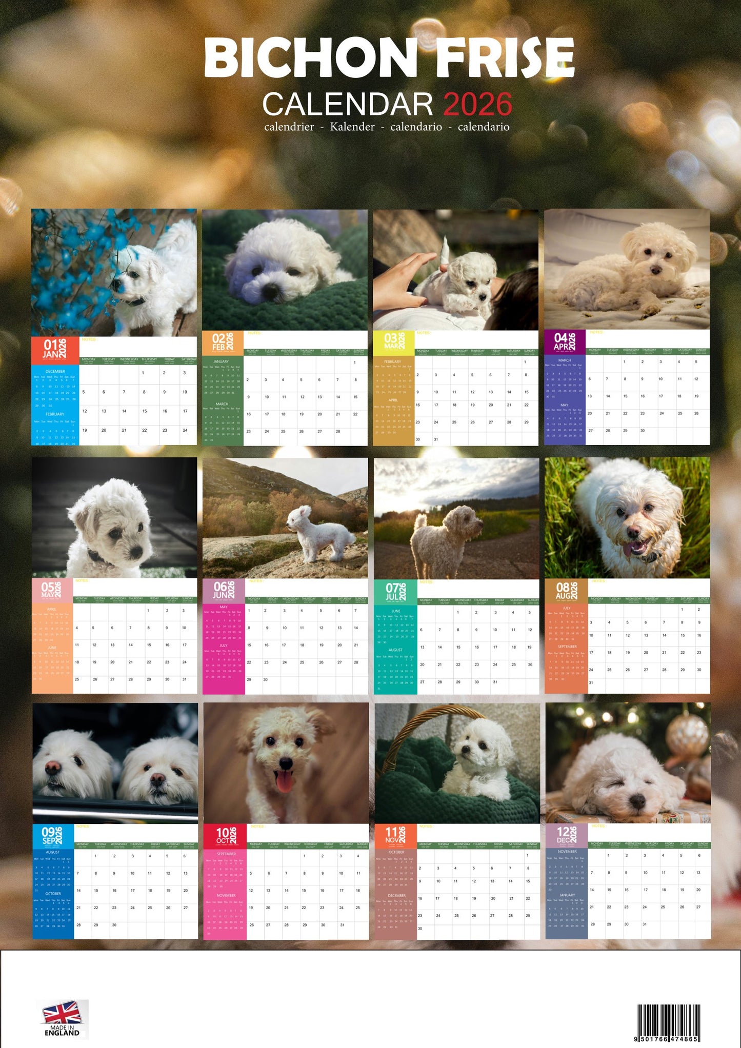 Bichon Frise Dog Calendar 2026 – M-PRA Range