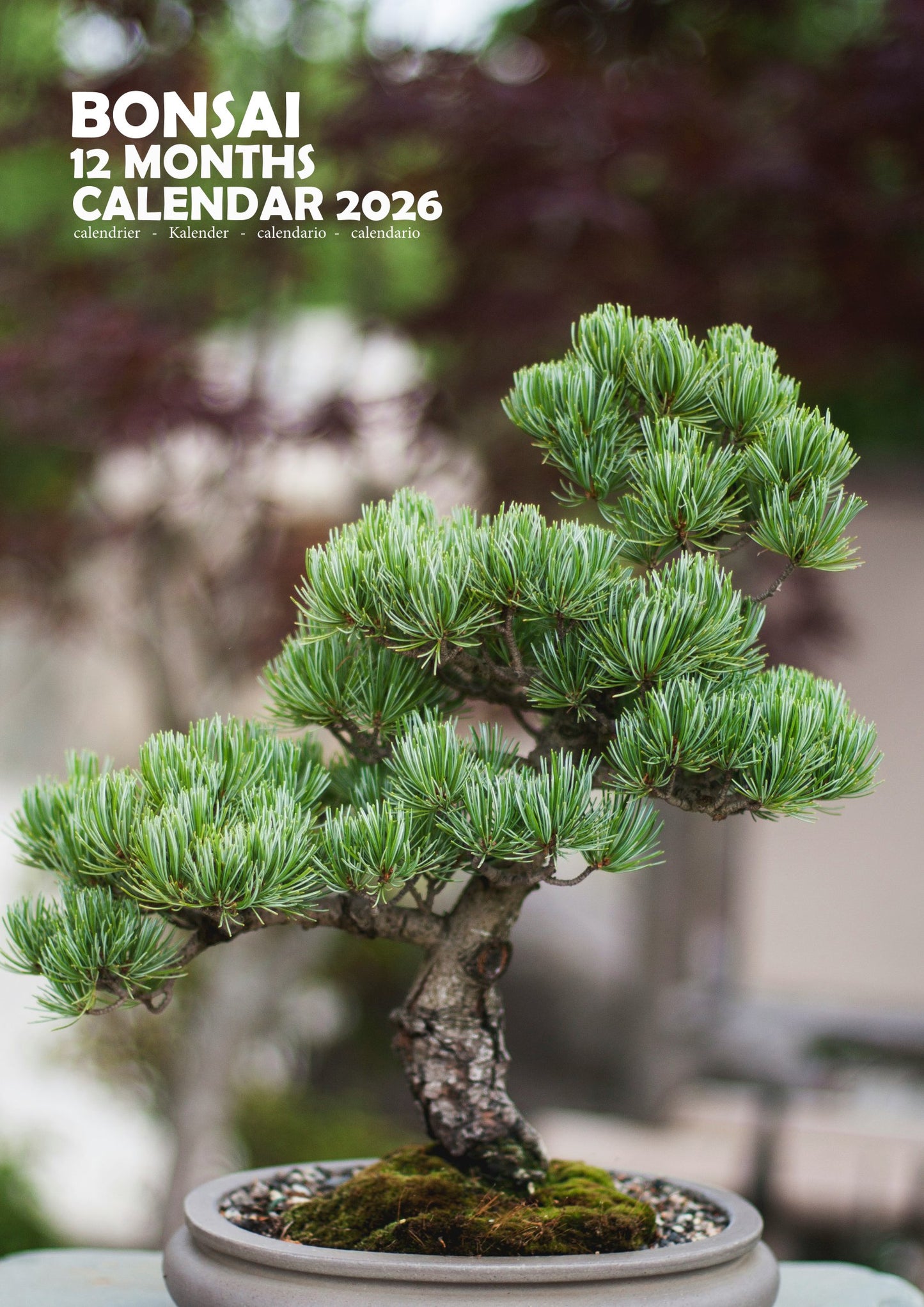 Bonsai Art Calendar 2026 – M-PRA Range
