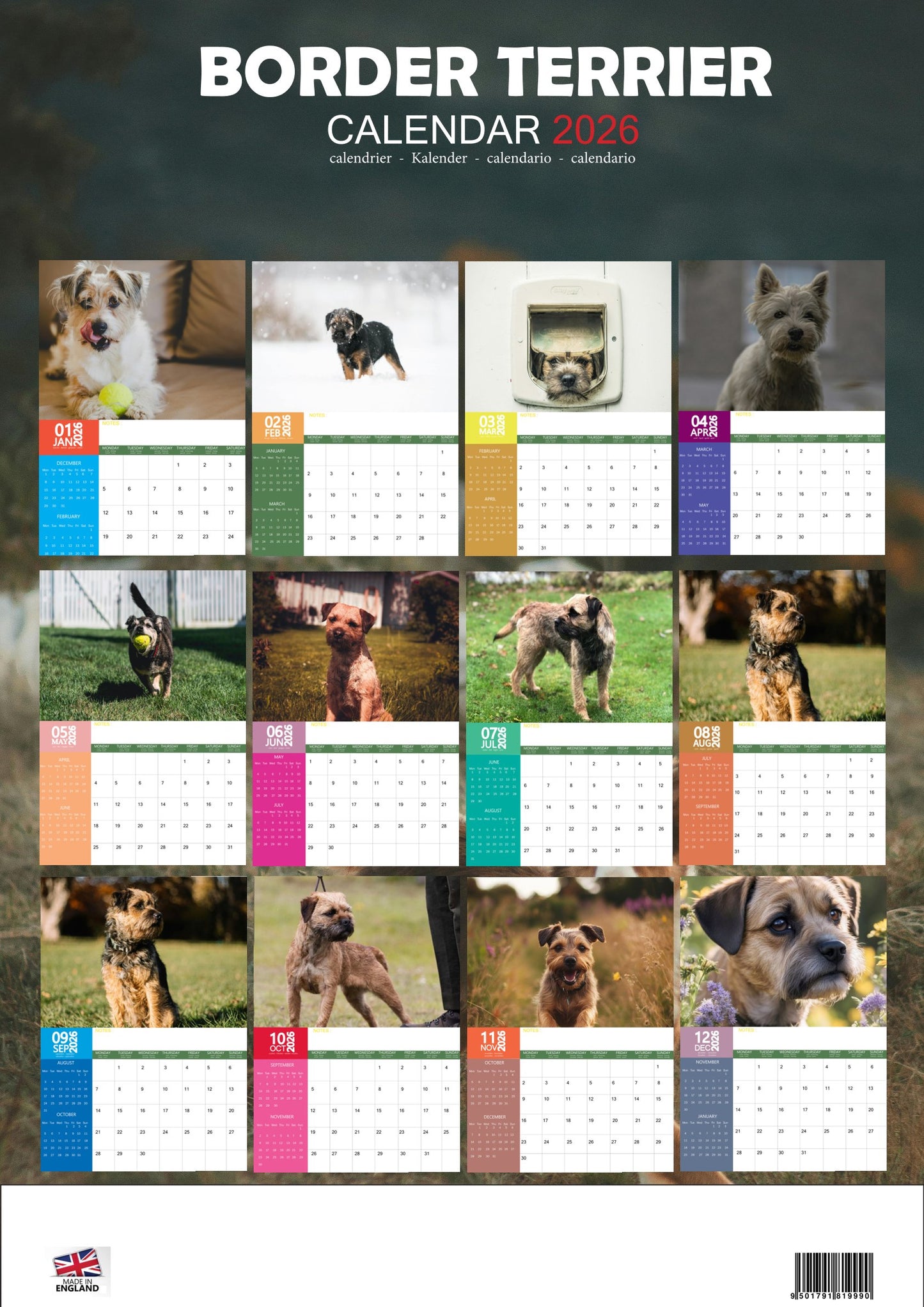 Border Terrier Dog Calendar 2026 – M-PRA Range