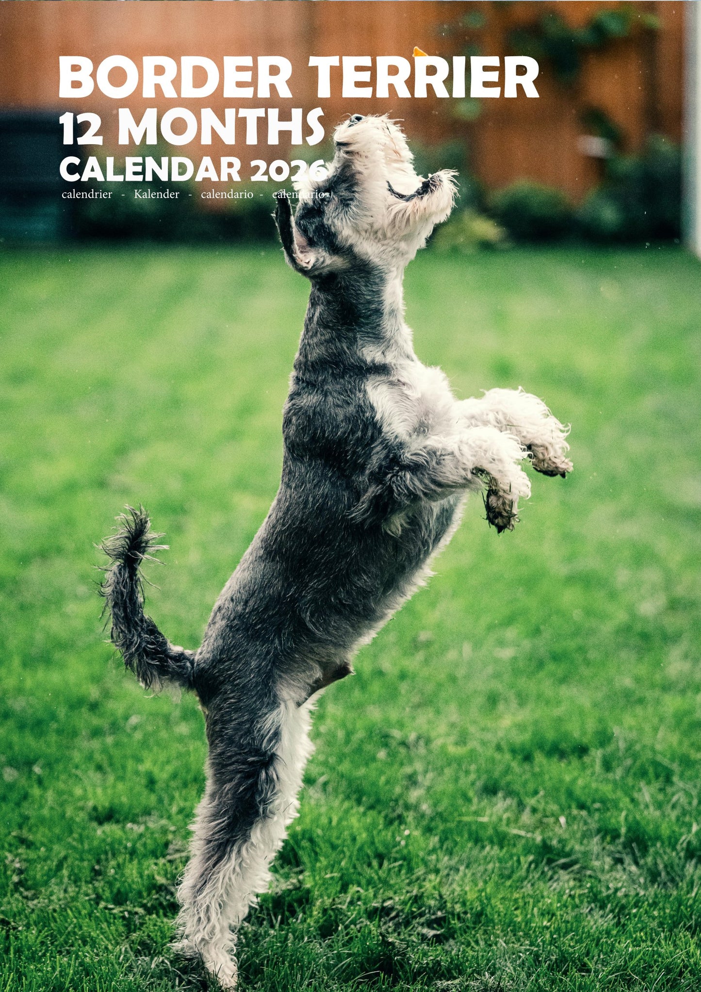 Border Terrier Dog Calendar 2026 – M-PRA Range