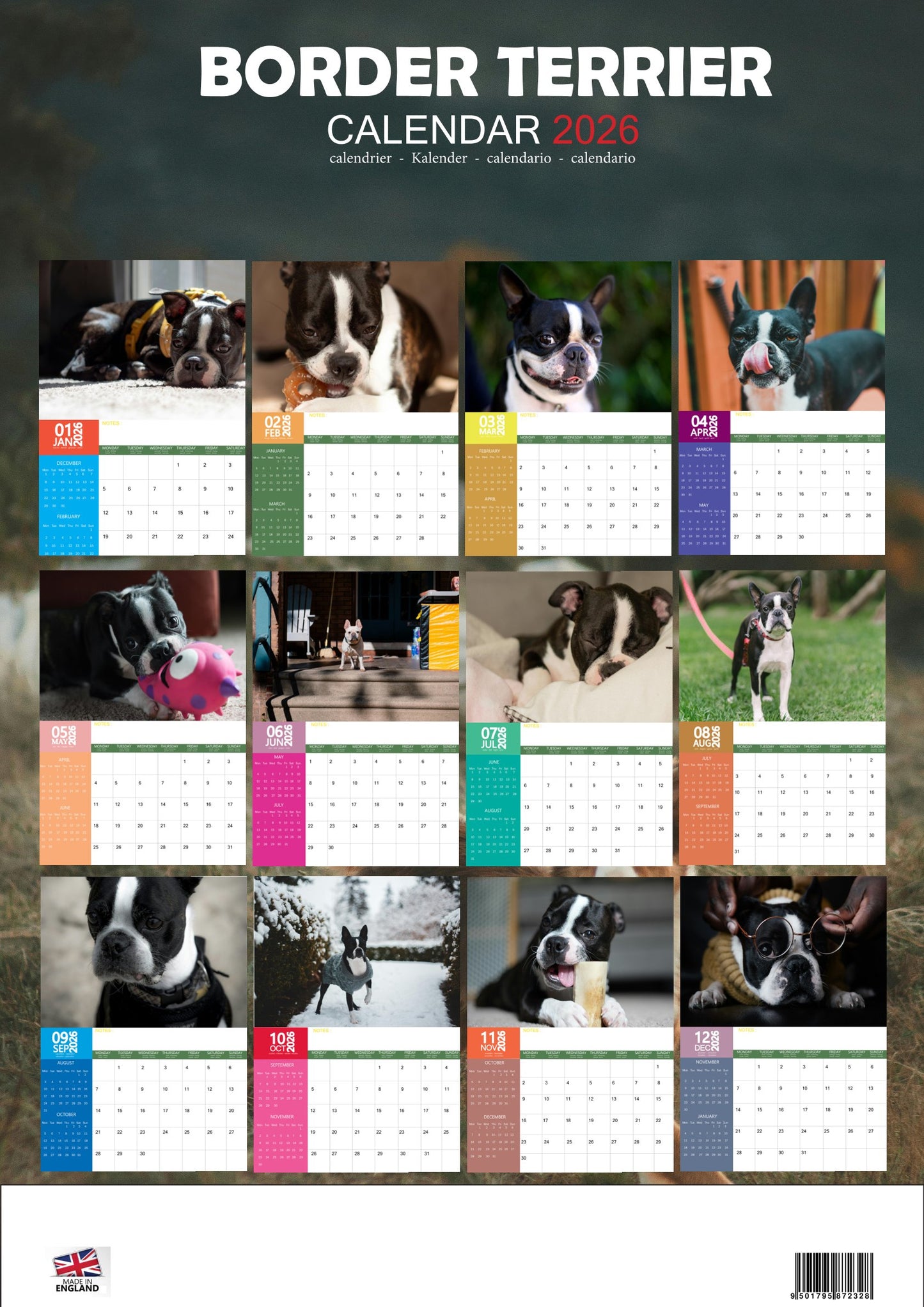Boston Terrier Dog Calendar 2026 – M-PRA Range