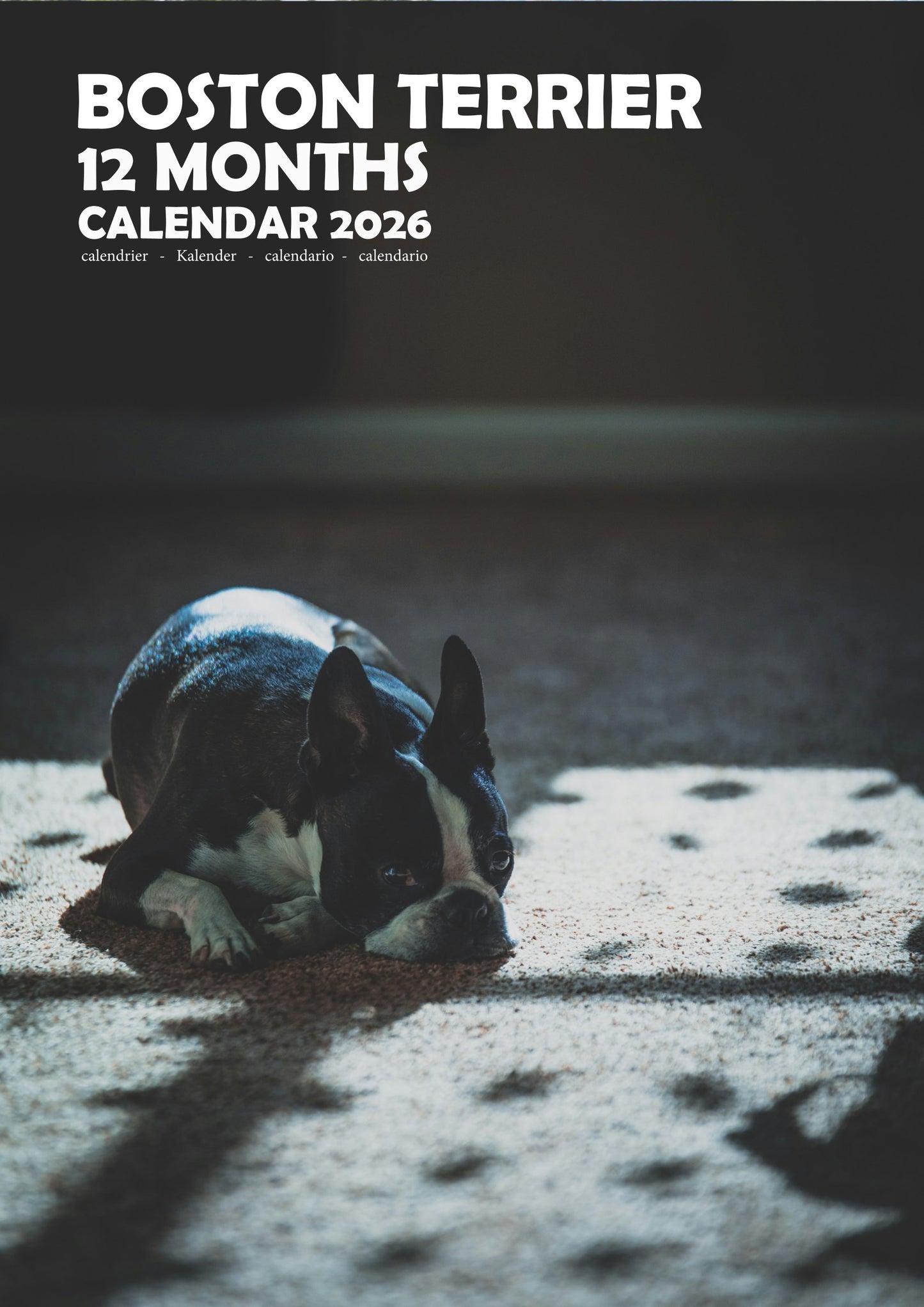 Boston Terrier Dog Calendar 2026 – M-PRA Range
