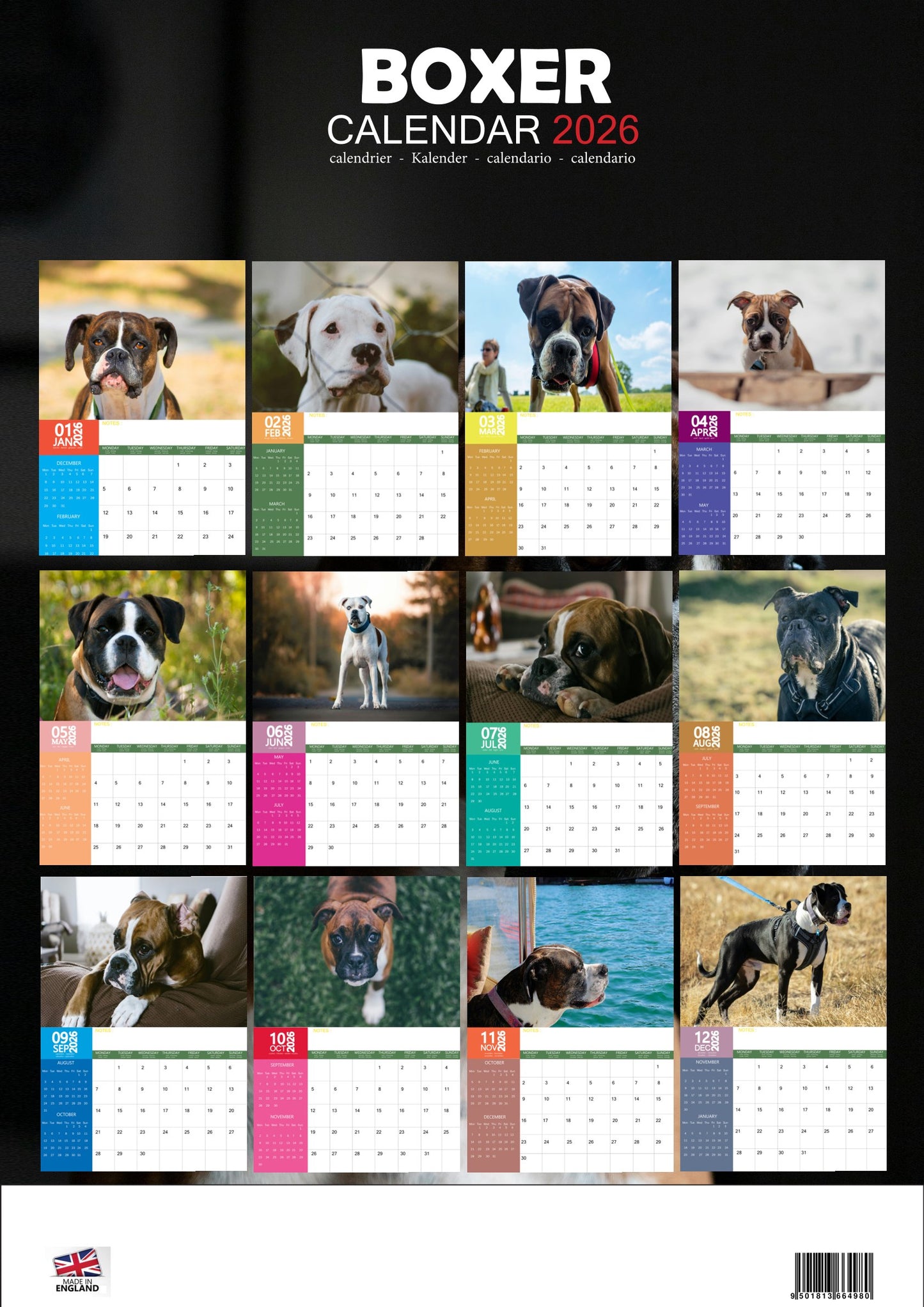 Boxer Dog Calendar 2026 – M-PRA Range