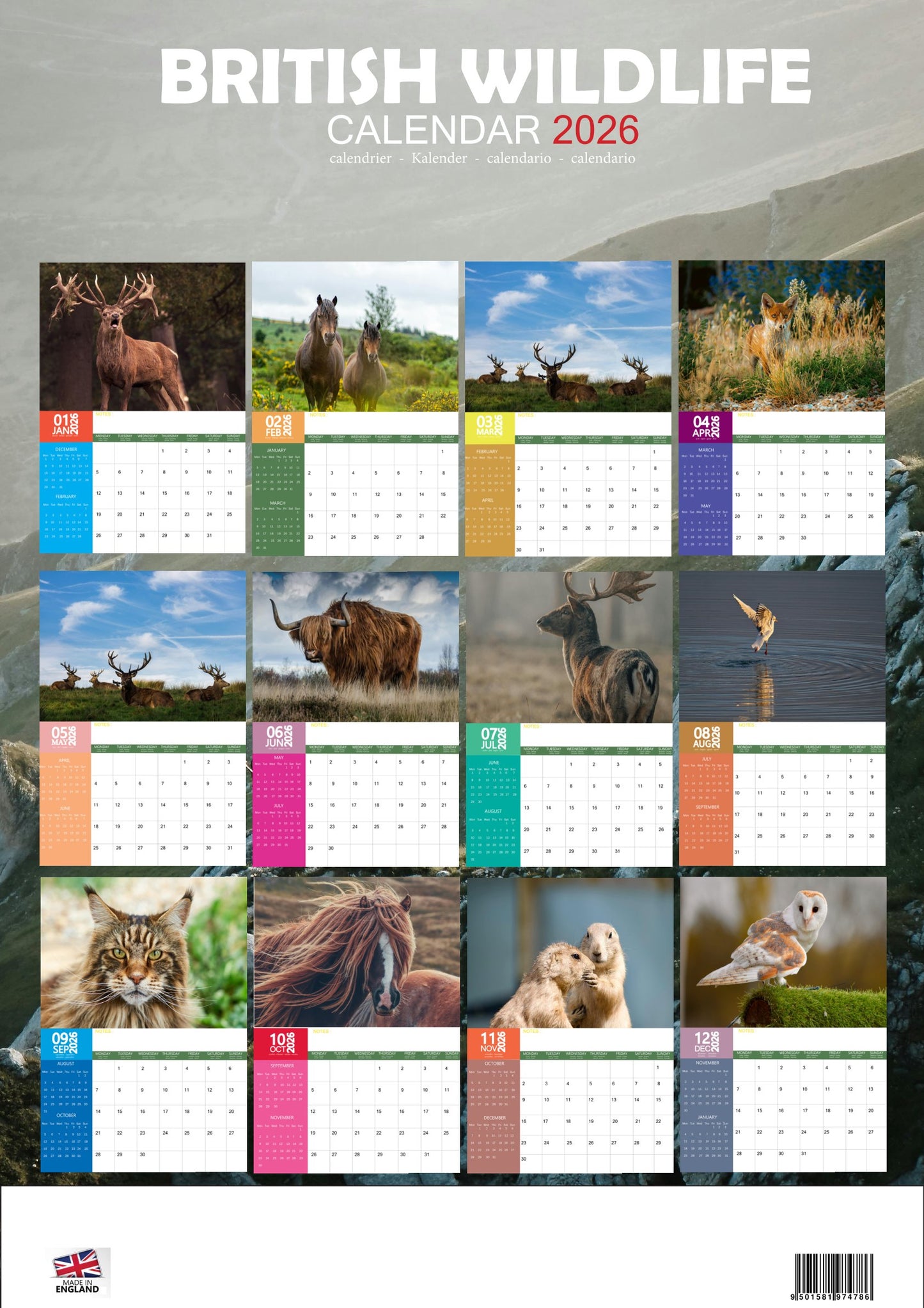 British Wildlife Calendar 2026 – M-PRA Range