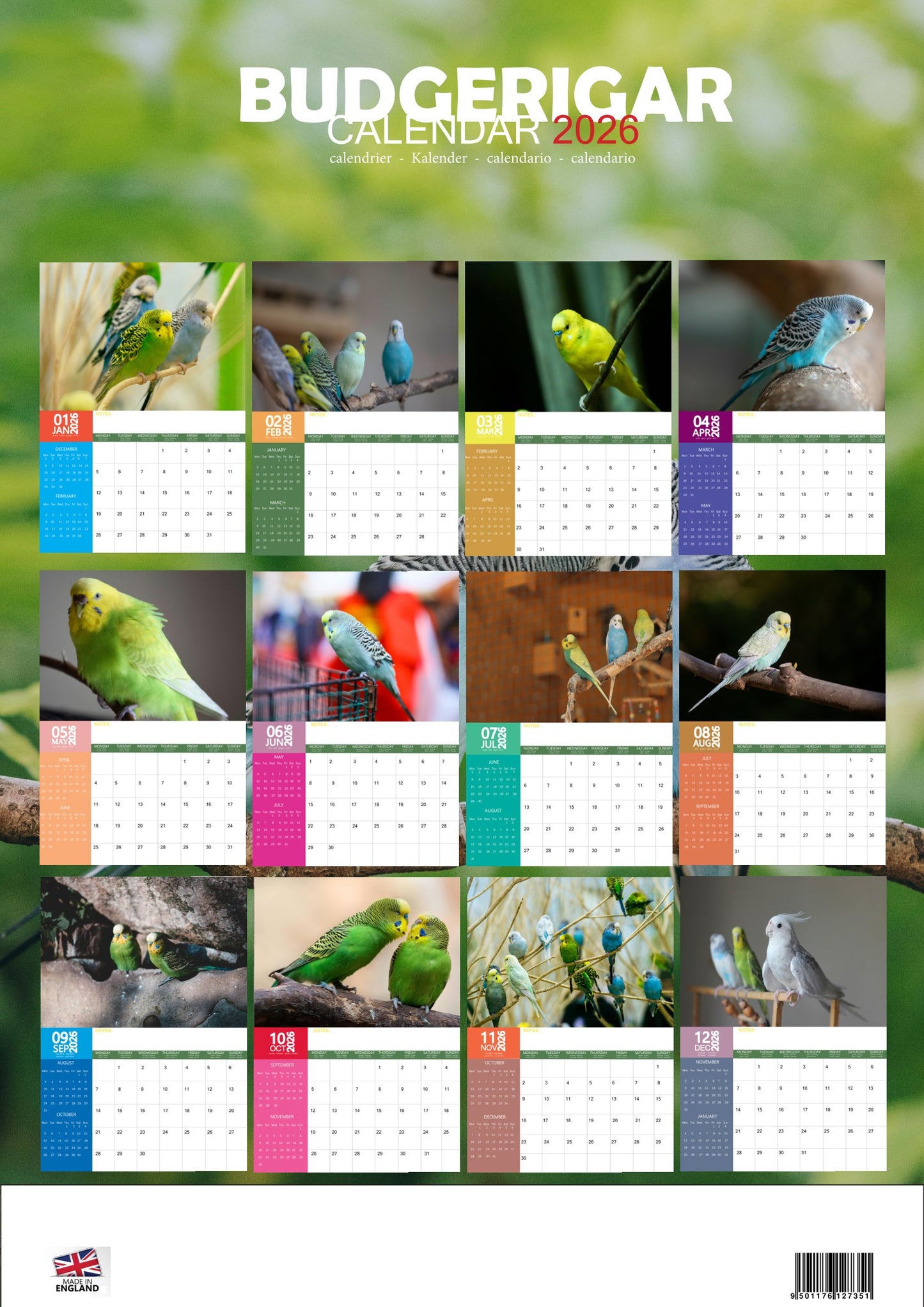 Budgerigar Calendar 2026 – M-PRA Range