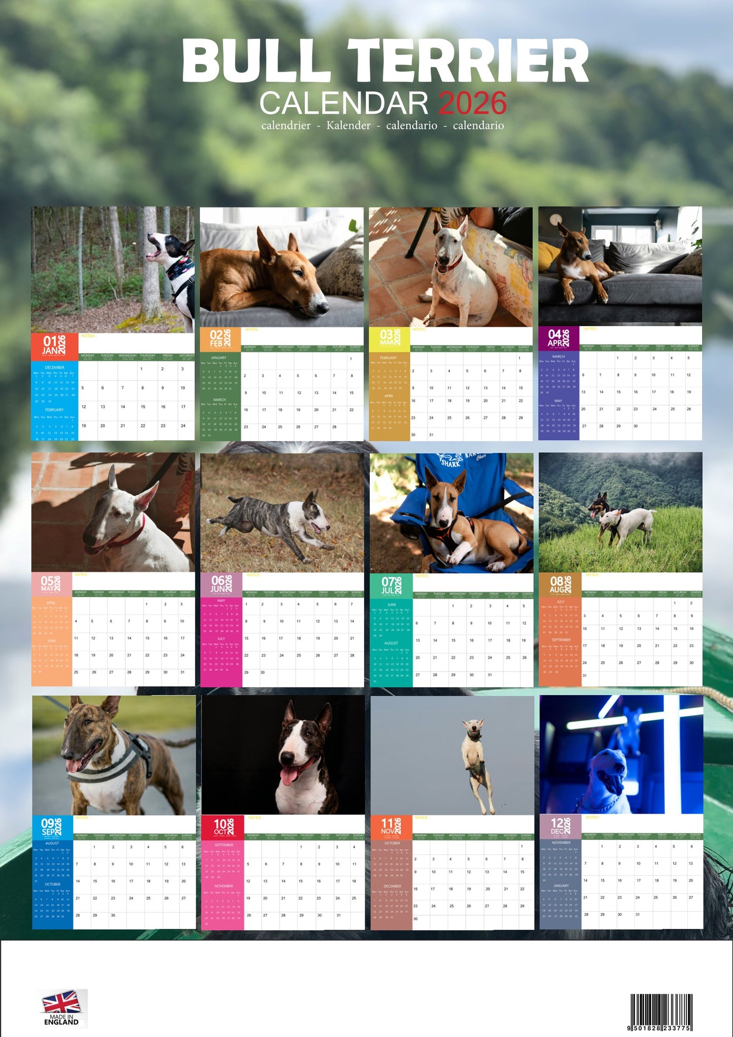 Bull Terrier Dog Calendar 2026 – M-PRA Range