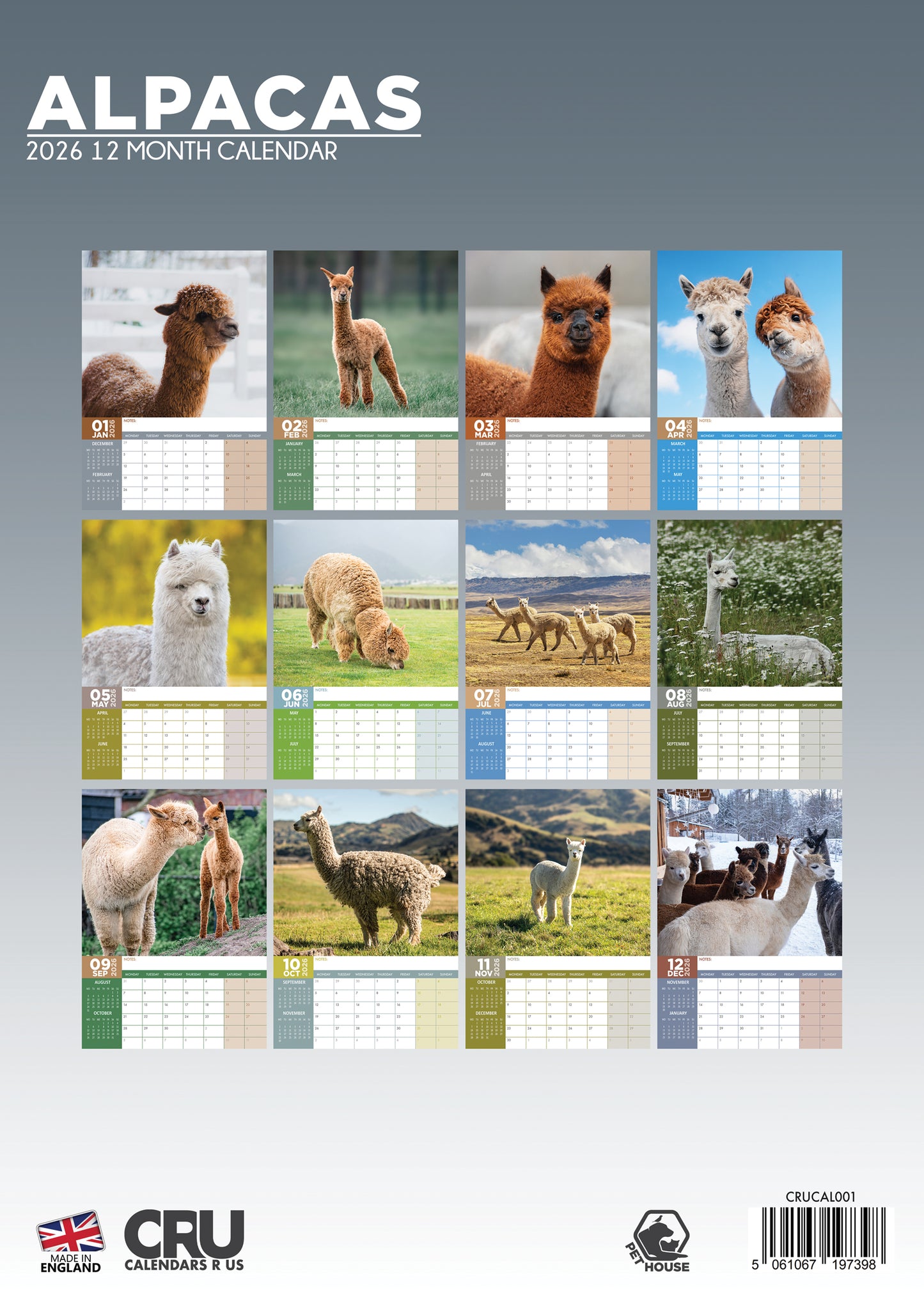 Alpacas Calendar 2026 – A Year of Adorable, Fluffy Fun