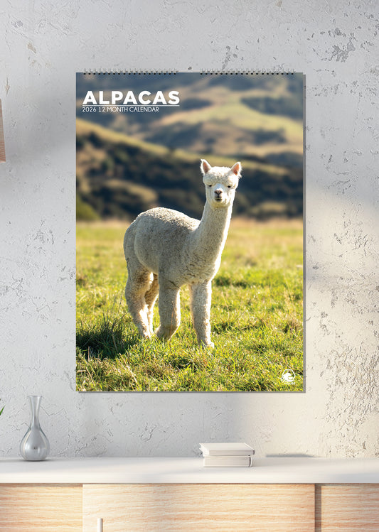 Alpacas Calendar 2026 – A Year of Adorable, Fluffy Fun