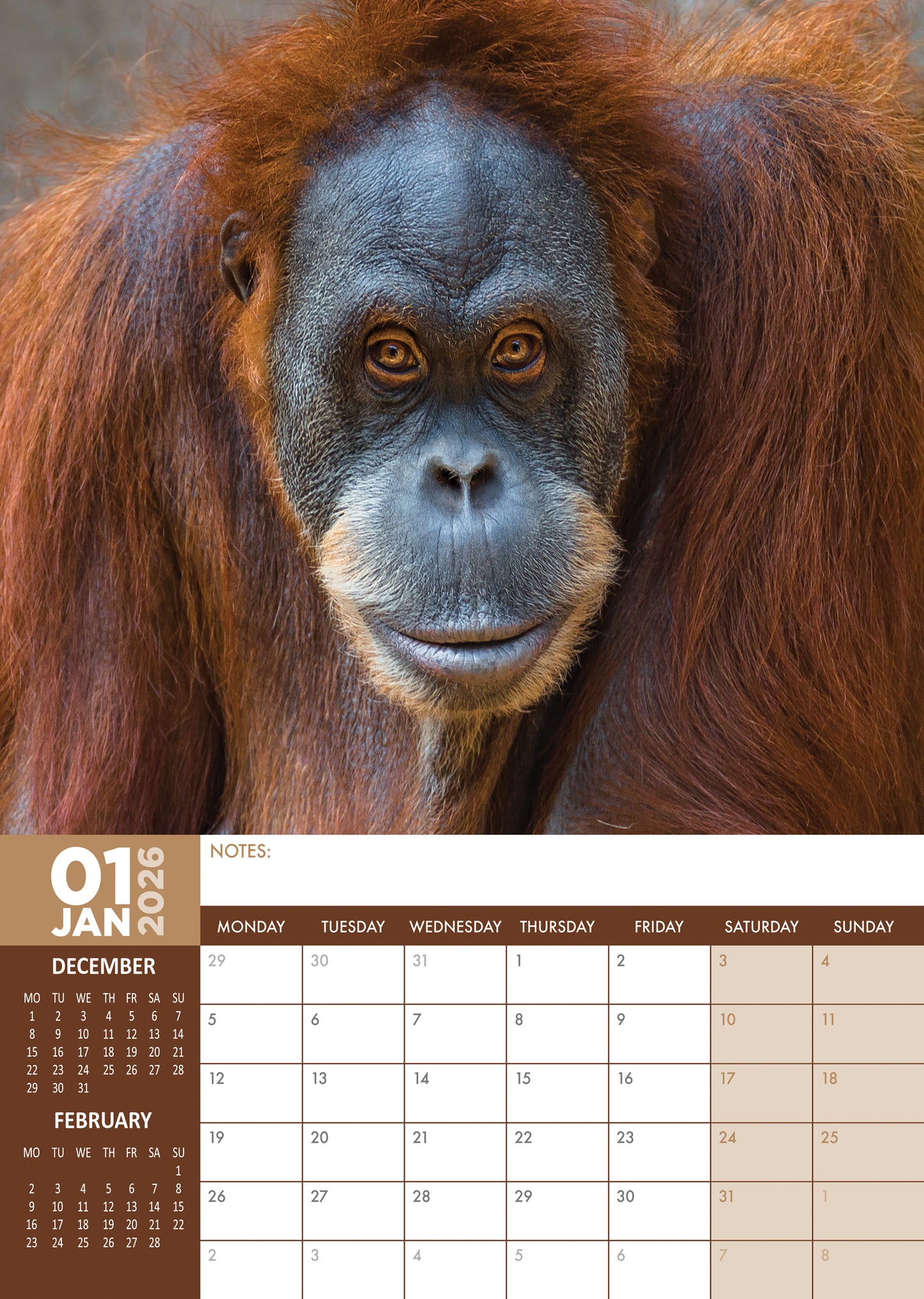 Apes Calendar 2026 – A Year of Majestic Primates
