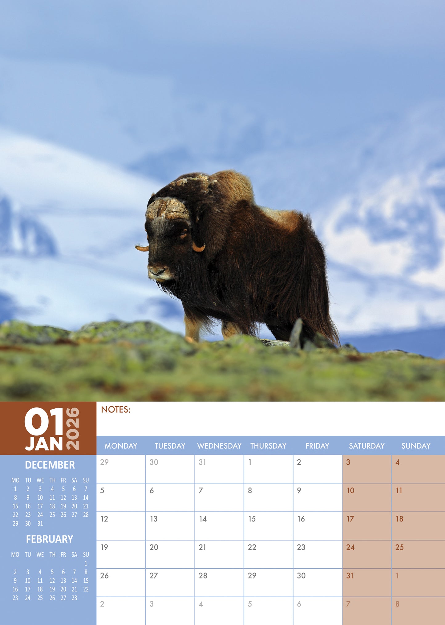 Arctic Animals Calendar 2026 – A Stunning Wildlife Wall Calendar Celebrating the Beauty of the Frozen North