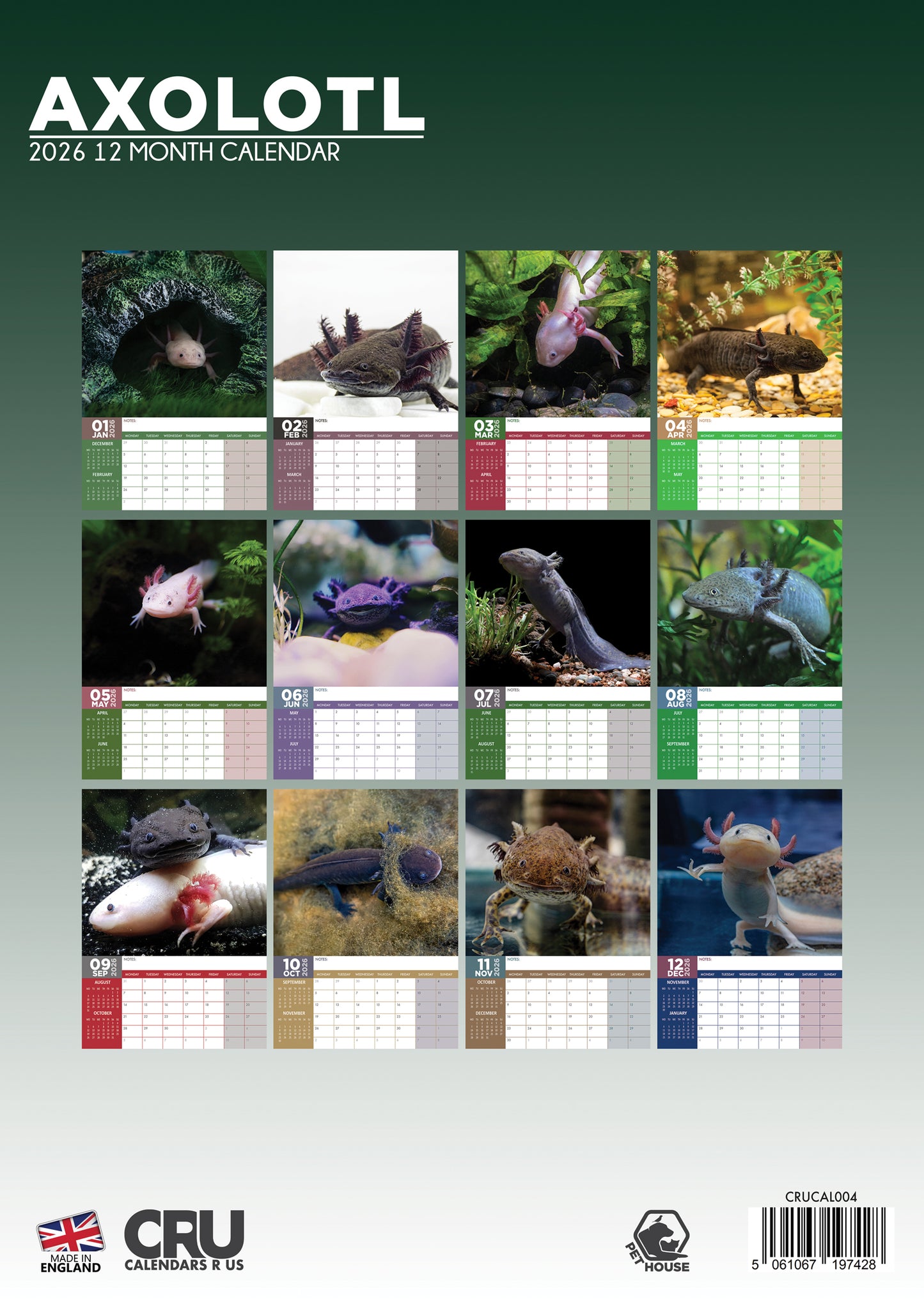 Axolotl Calendar 2026 – A Year with the Smiling Salamander