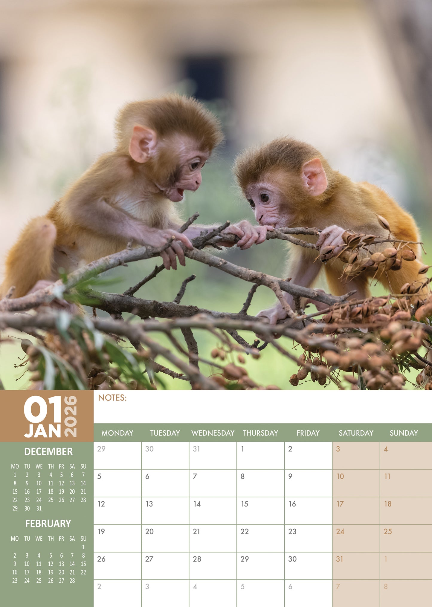Baby Animals Calendar 2026 – A Heartwarming Wall Calendar Filled with Cuteness All Year Round