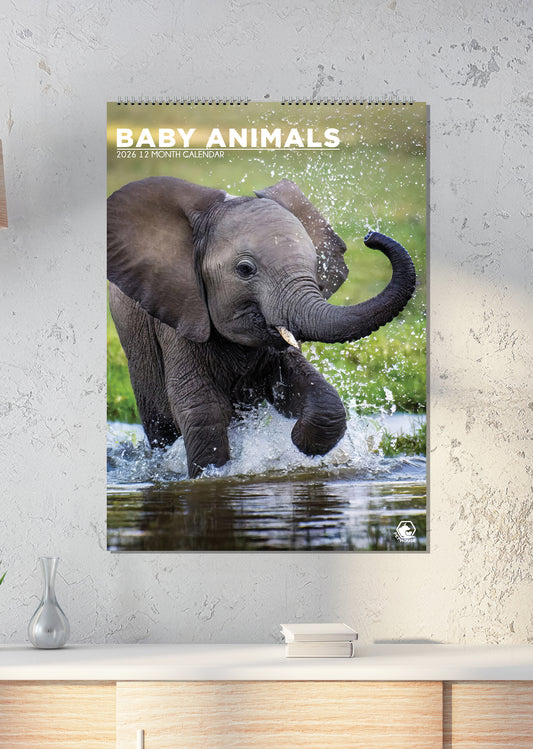 Baby Animals Calendar 2026 – A Heartwarming Wall Calendar Filled with Cuteness All Year Round