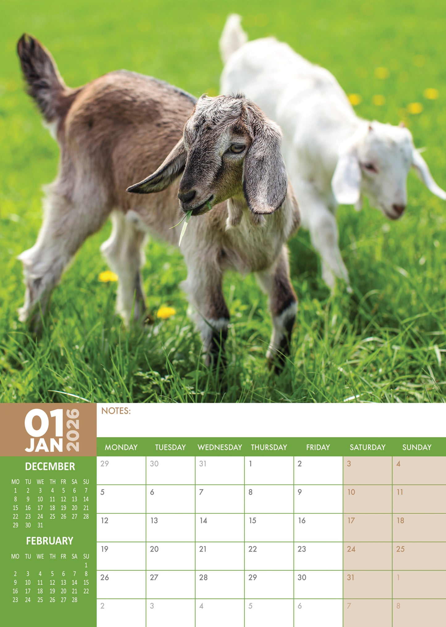 Baby Goats Calendar 2026 – A Year of Sweetness and Smiles