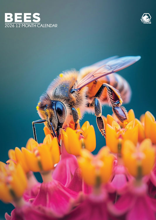 Bees Calendar 2026 – A Buzzing Tribute to Nature's Pollinators