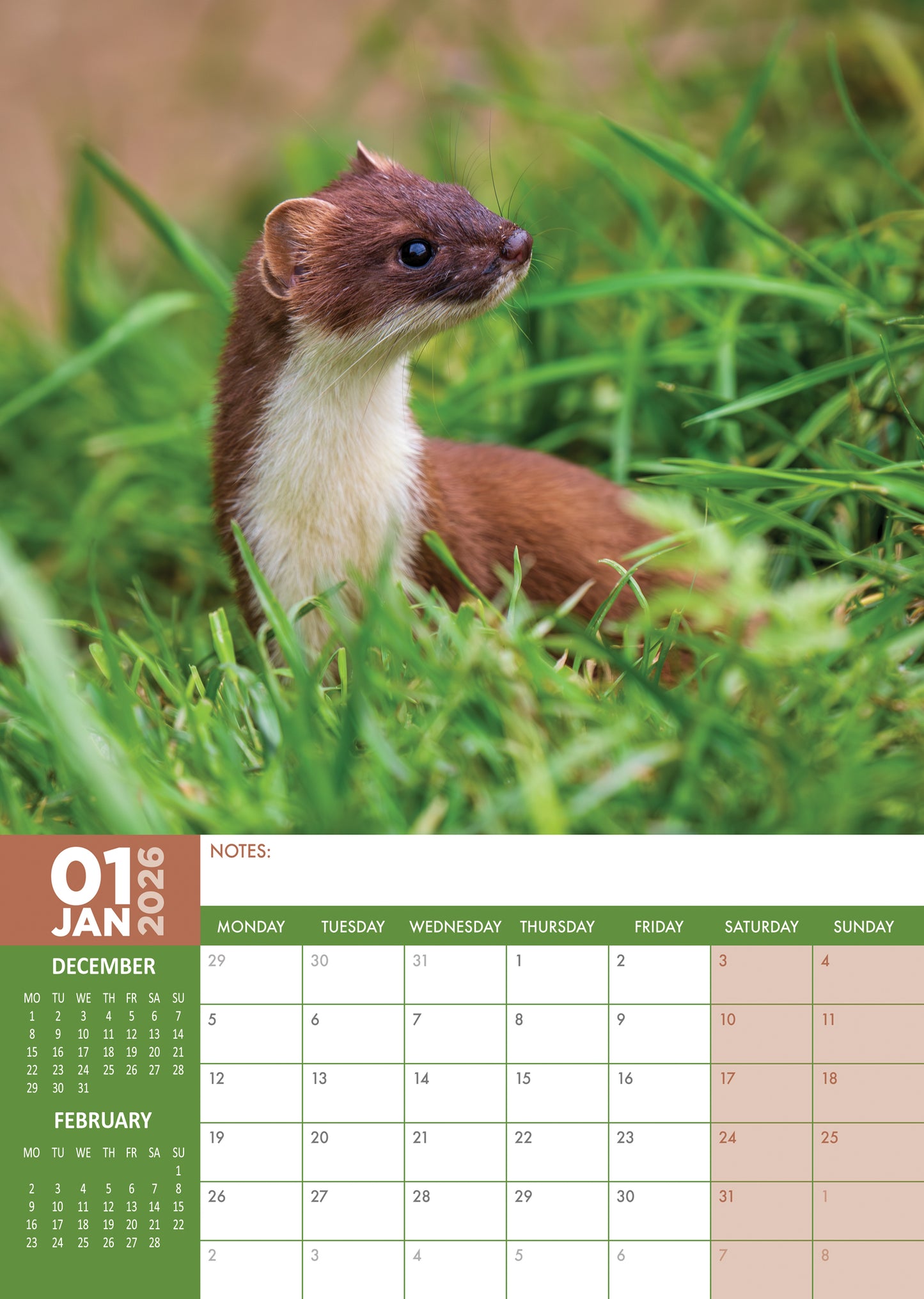 British Wildlife Calendar 2026 – Celebrate the Beauty of the UK’s Natural World