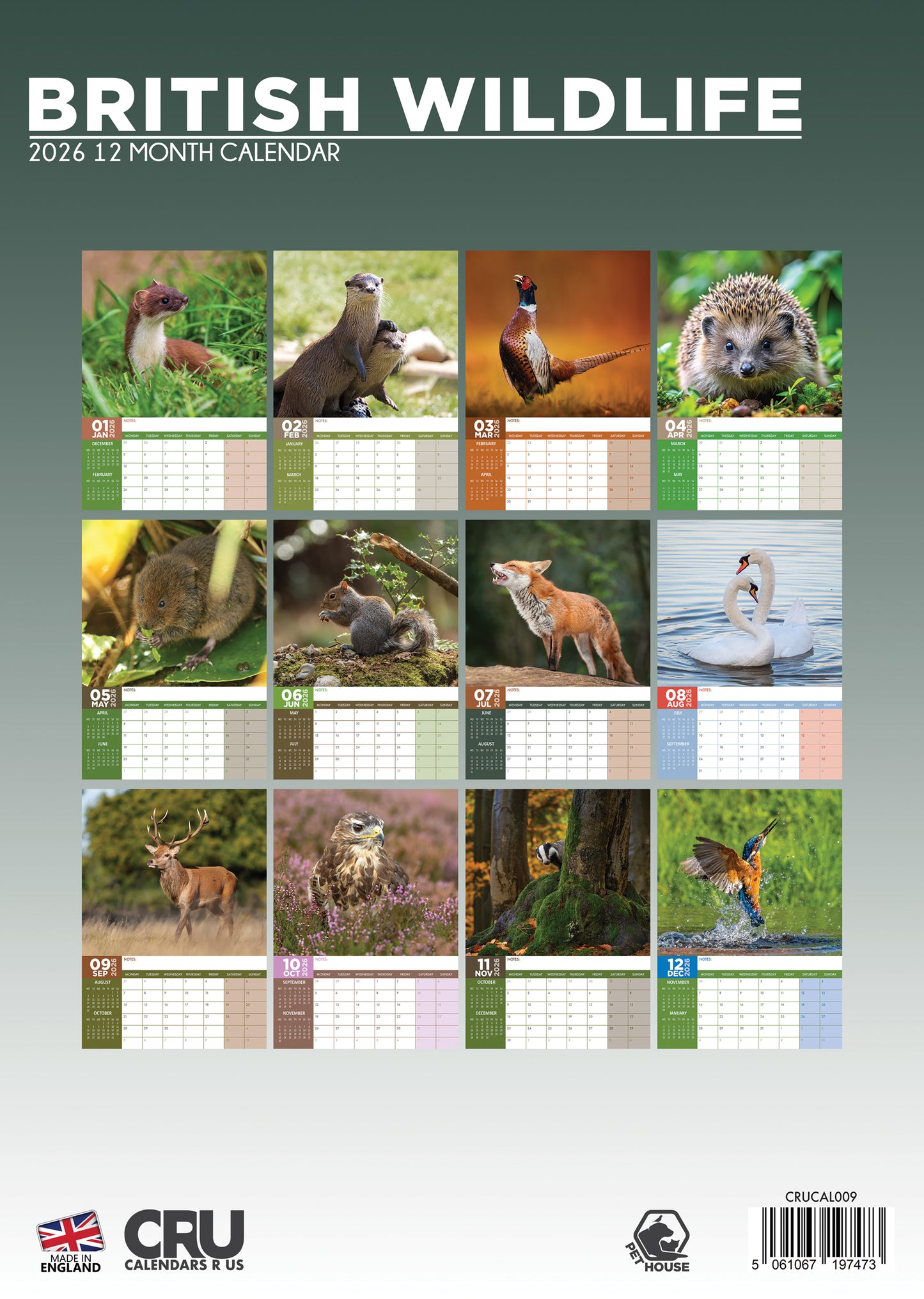 British Wildlife Calendar 2026 – Celebrate the Beauty of the UK’s Natural World