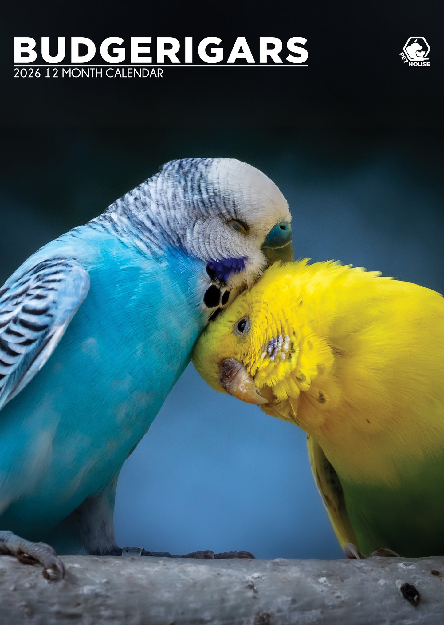 Budgerigars Calendar 2026 – A Colourful Celebration of Beloved Budgies