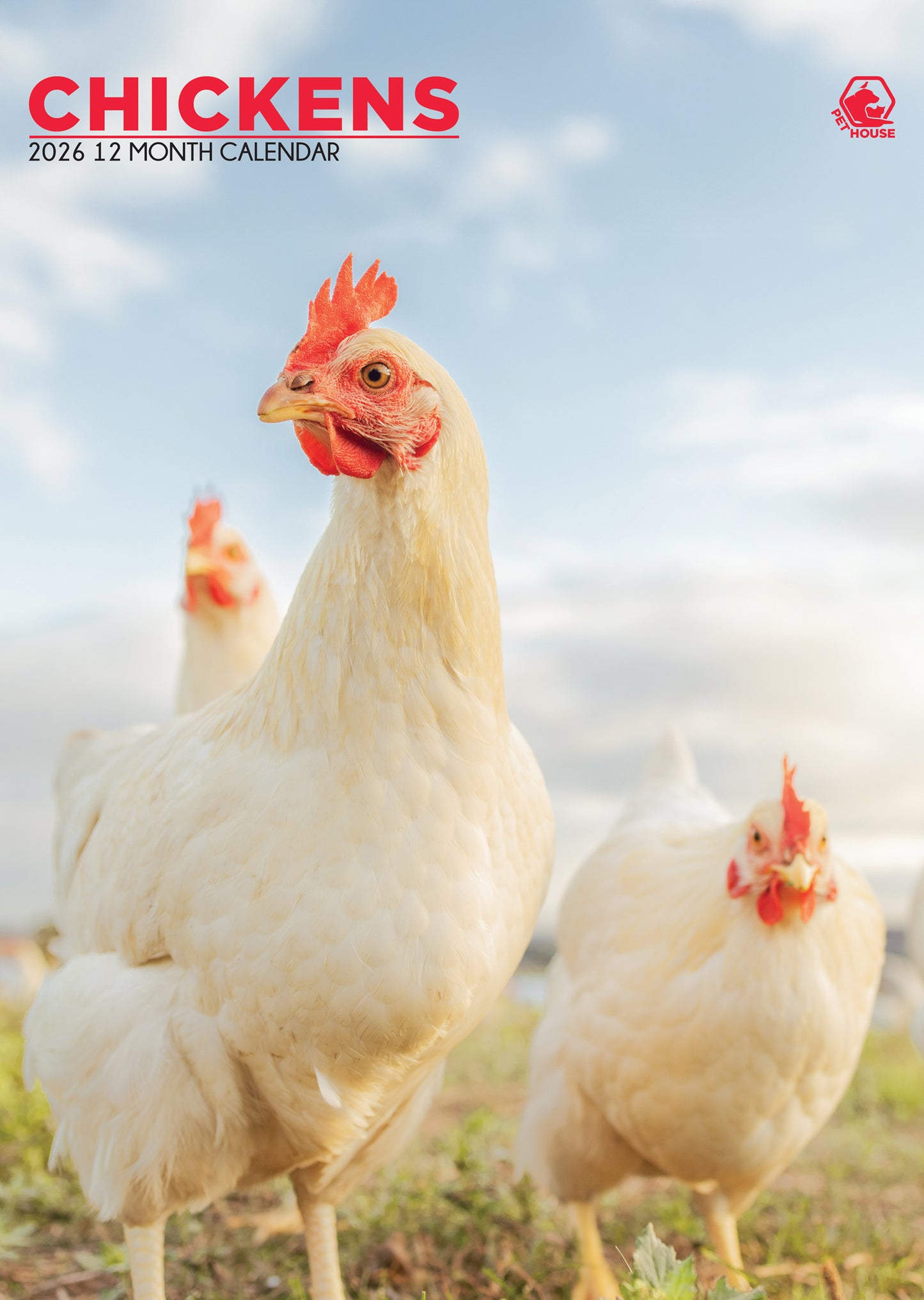 Chickens Calendar 2026 – Celebrate Farmyard Charm All Year Round