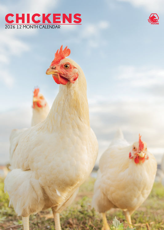 Chickens Calendar 2026 – Celebrate Farmyard Charm All Year Round