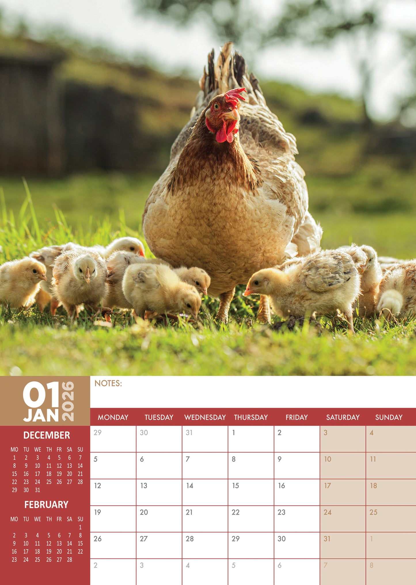 Chickens Calendar 2026 – Celebrate Farmyard Charm All Year Round