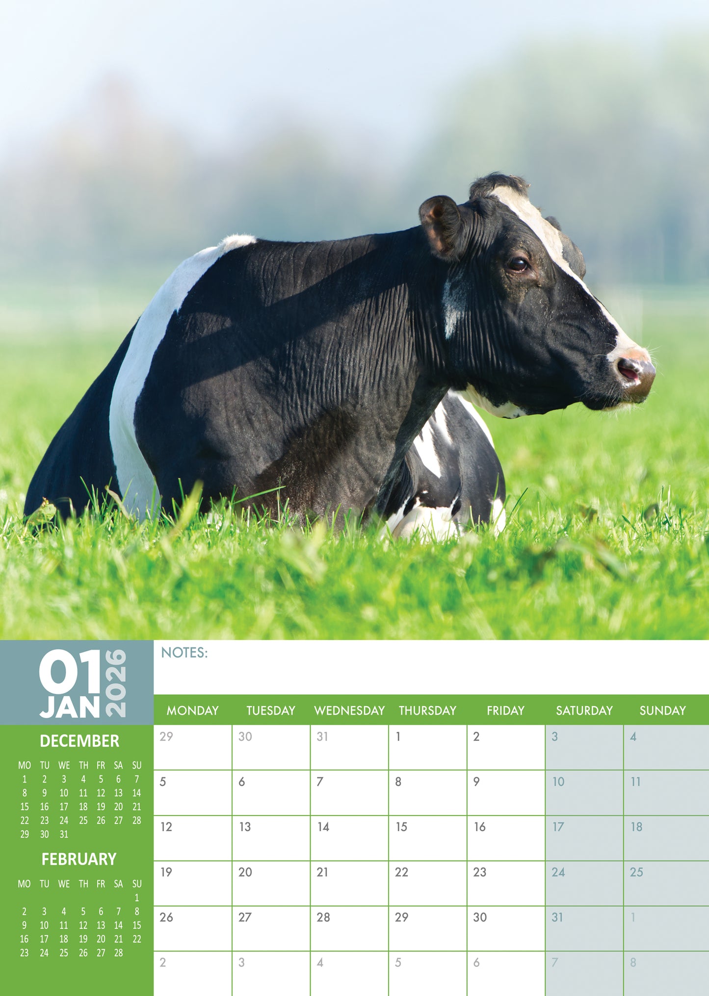 Cows Calendar 2026 – Celebrate the Majesty of Cows All Year Round