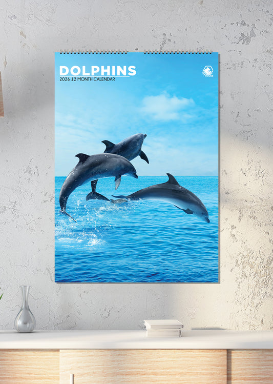 Dolphins Calendar 2026 – Dive Into the World of Dolphins