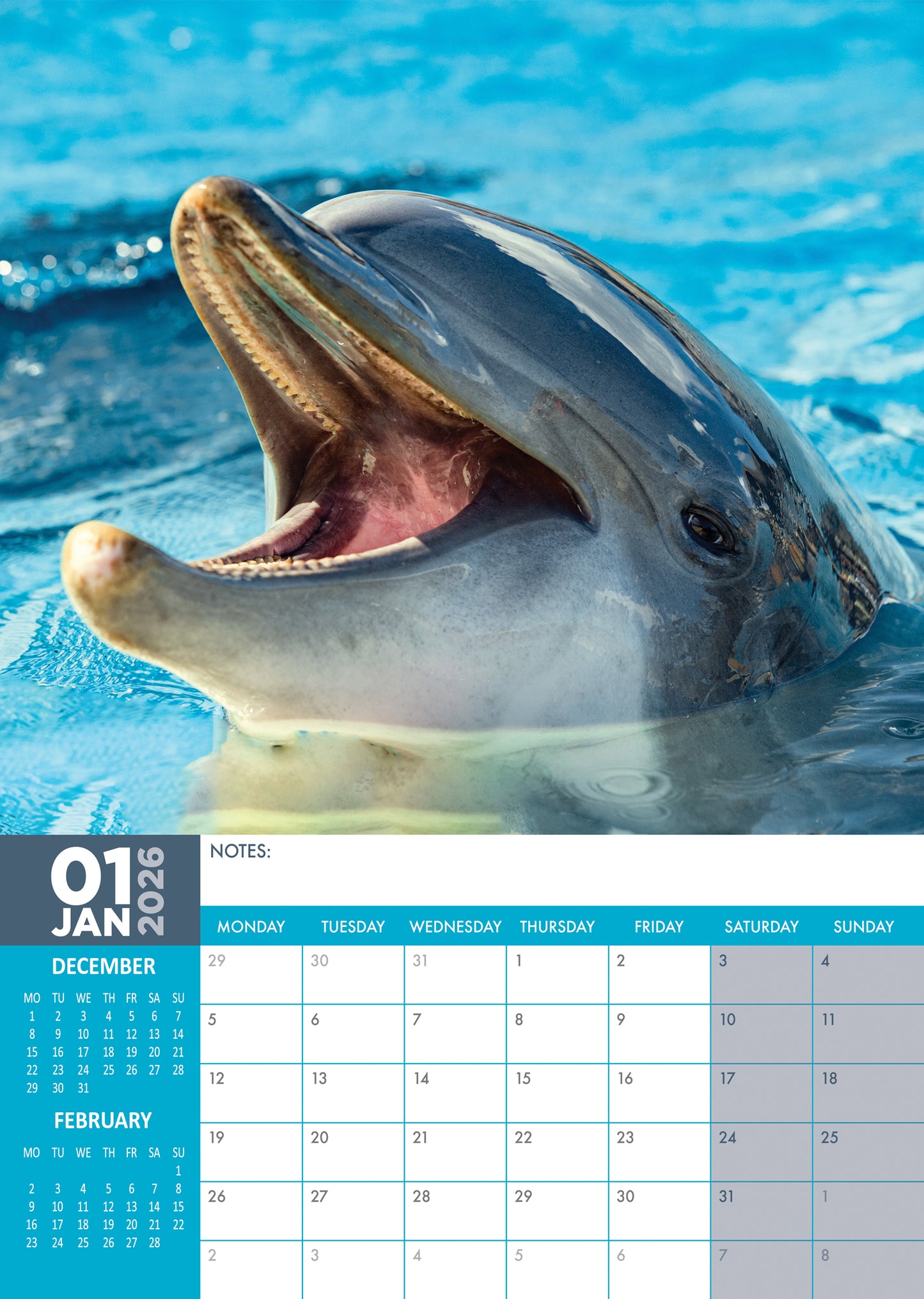 Dolphins Calendar 2026 – Dive Into the World of Dolphins