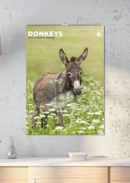 Donkeys Calendar 2026 – Celebrate the Charm of Donkeys All Year Long