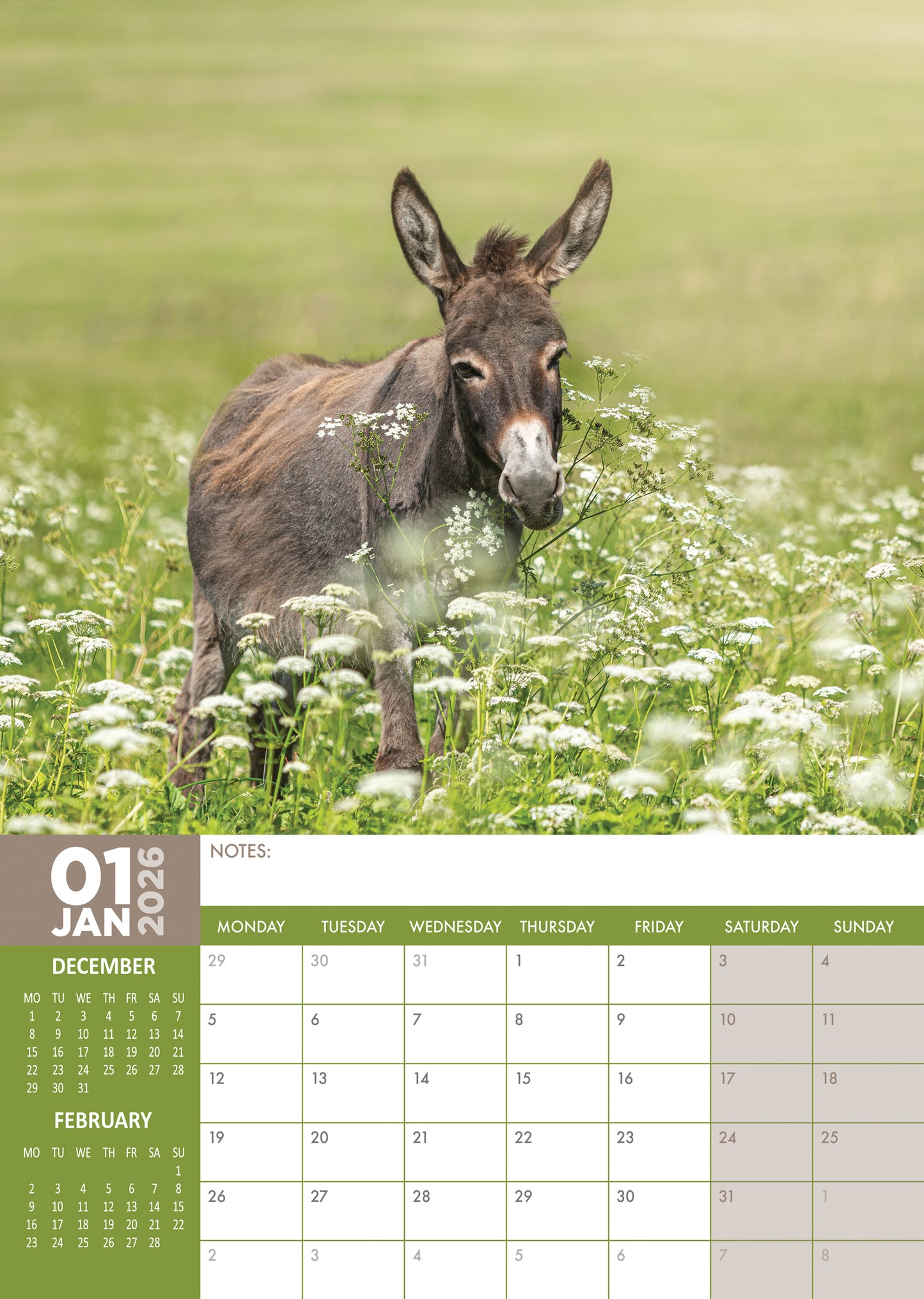 Donkeys Calendar 2026 – Celebrate the Charm of Donkeys All Year Long