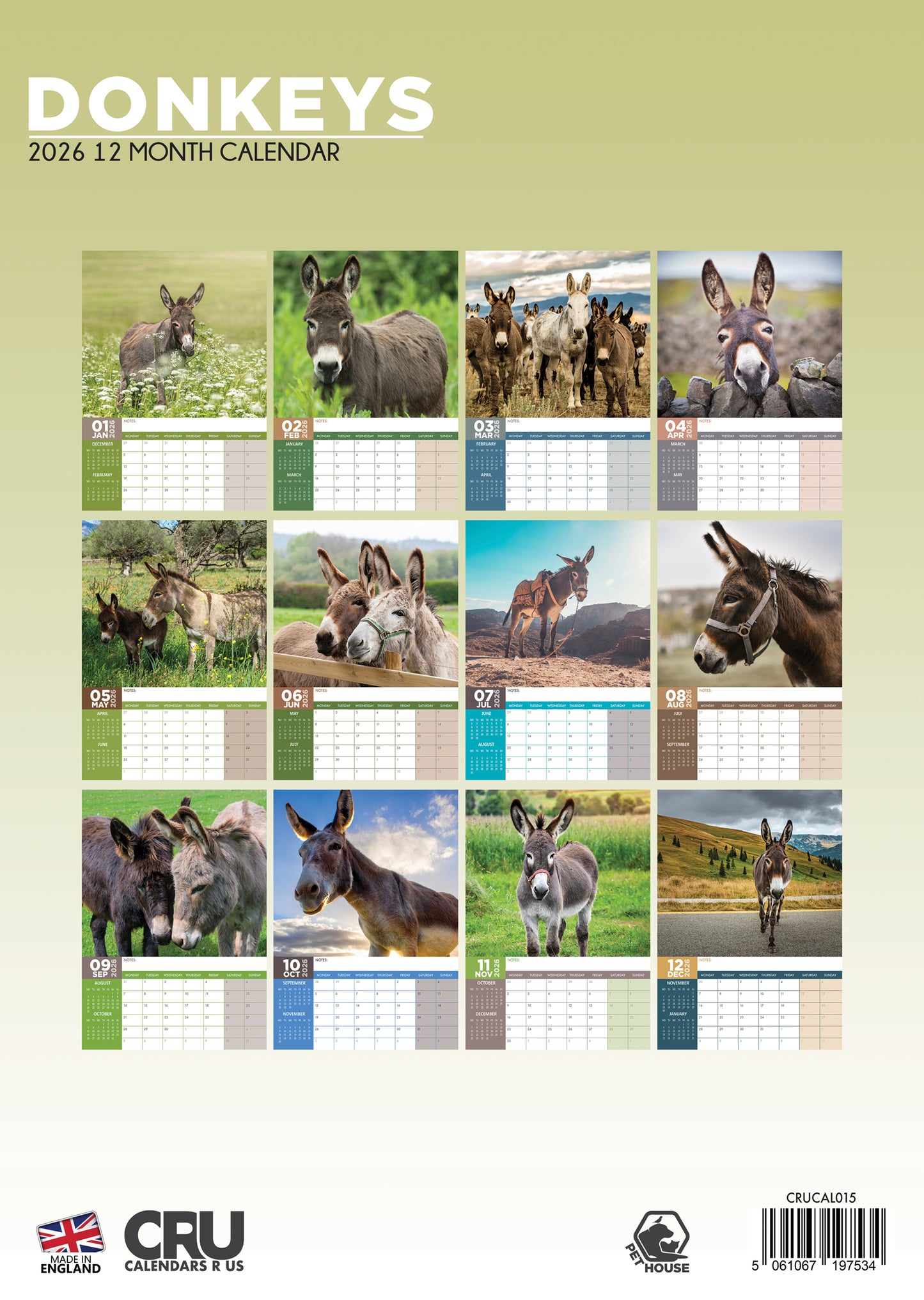 Donkeys Calendar 2026 – Celebrate the Charm of Donkeys All Year Long