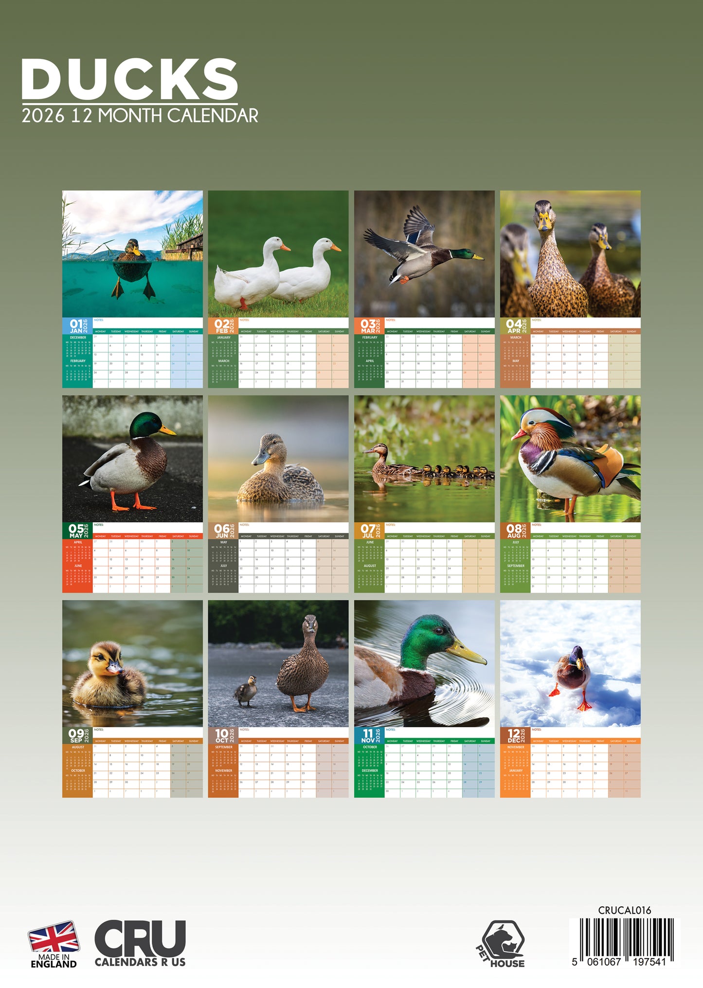 Ducks Calendar 2026 – A Year of Beautiful Waterfowl Moments