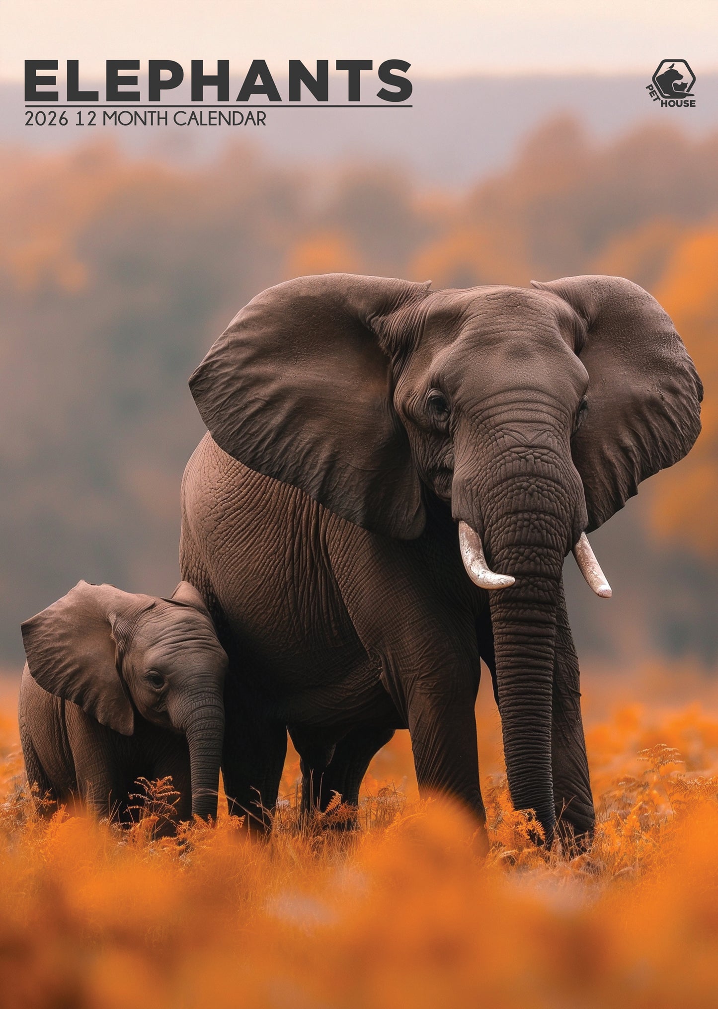 Elephants Calendar 2026 – Majestic Giants of the Wild