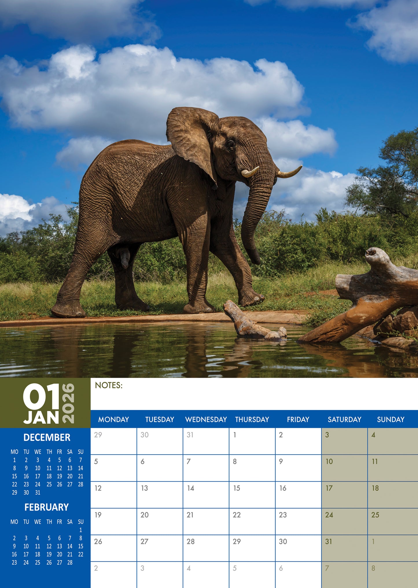 Elephants Calendar 2026 – Majestic Giants of the Wild