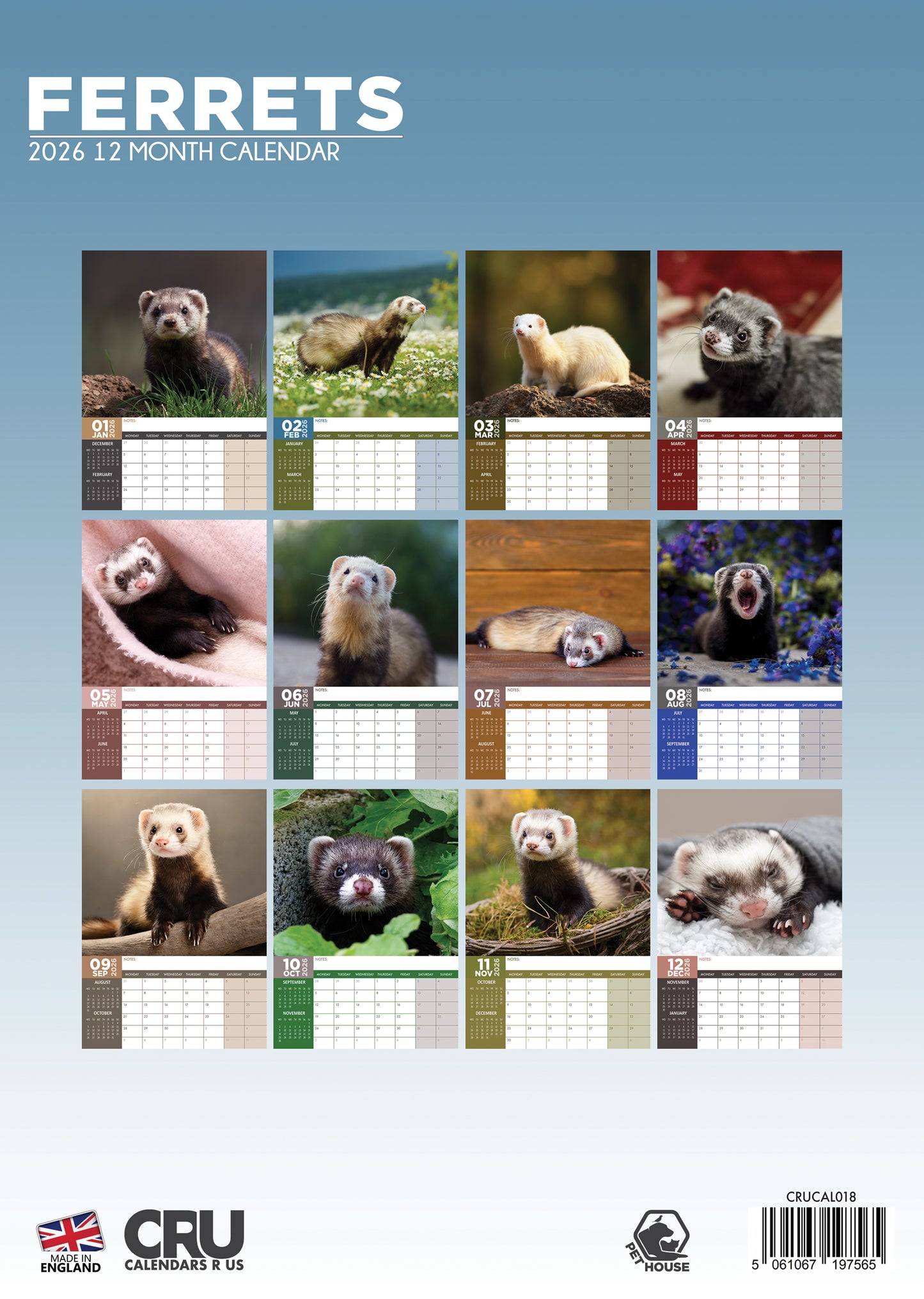 Ferrets Calendar 2026 – A Year of Playful Ferret Fun