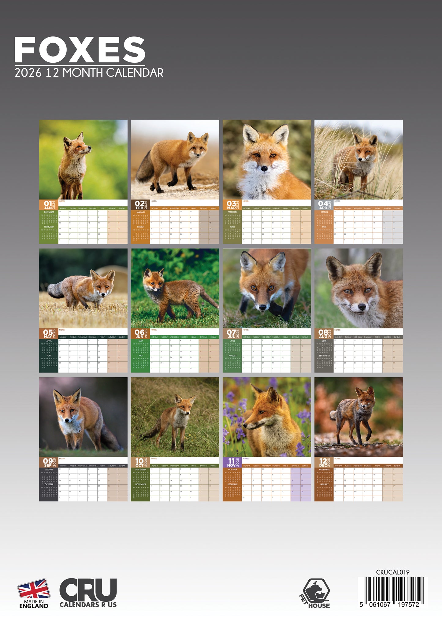 Foxes Calendar 2026 – Stunning Wildlife Photography Wall Calendar for Animal Lovers