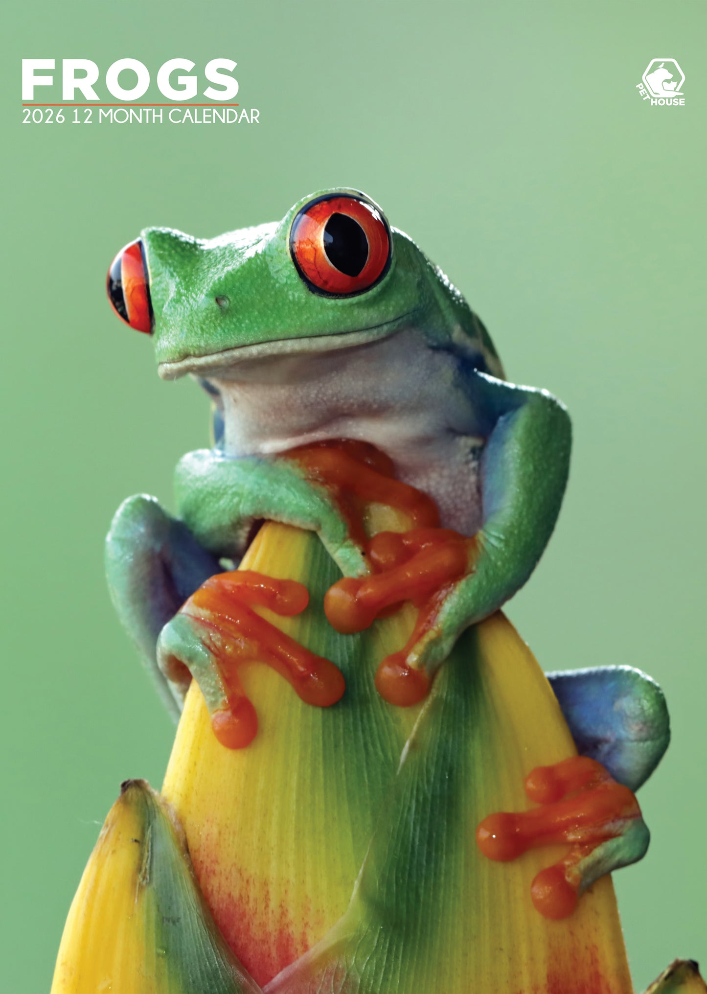 Frogs Calendar 2026 – Celebrate the Beauty of Amphibians All Year Long