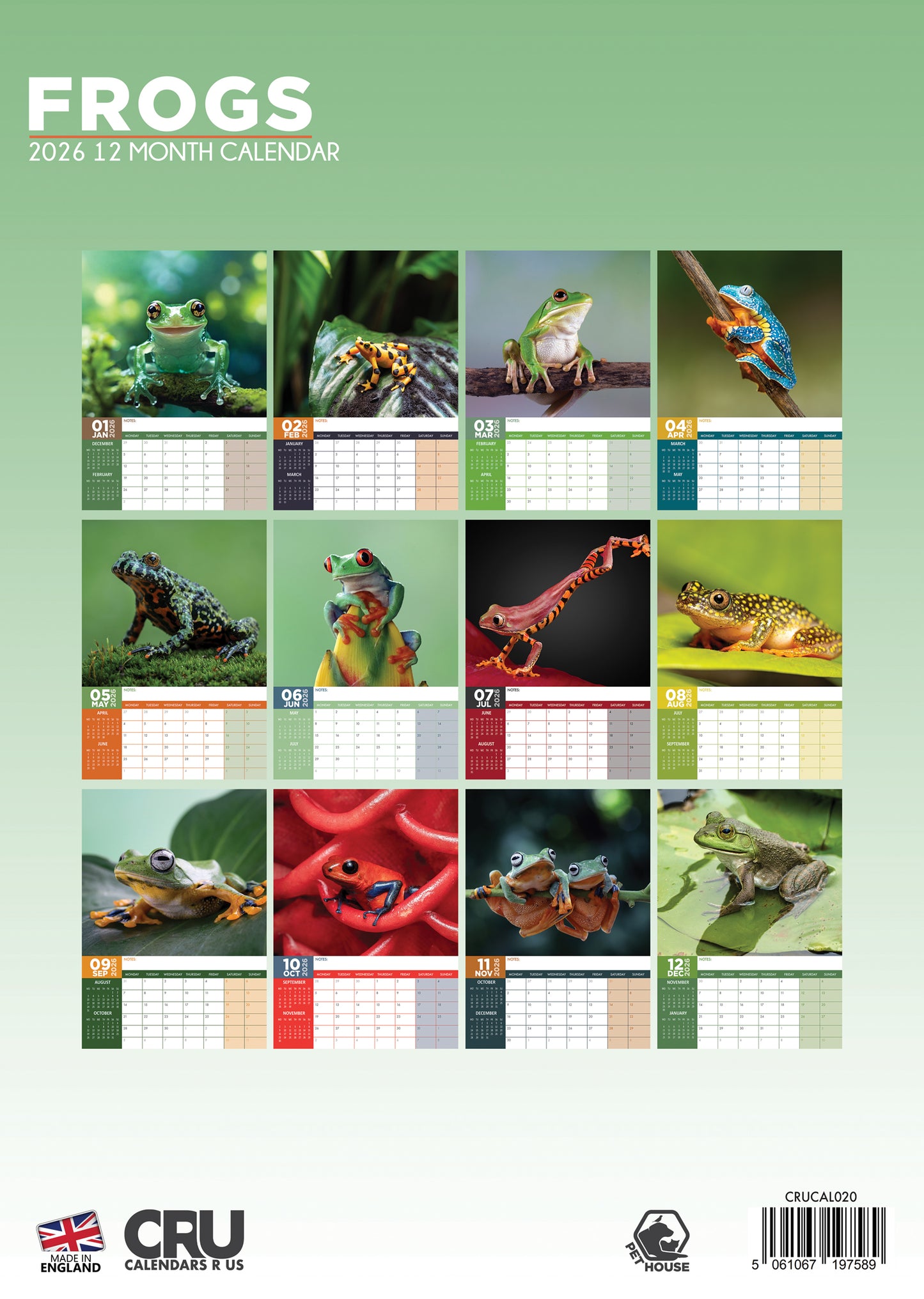 Frogs Calendar 2026 – Celebrate the Beauty of Amphibians All Year Long