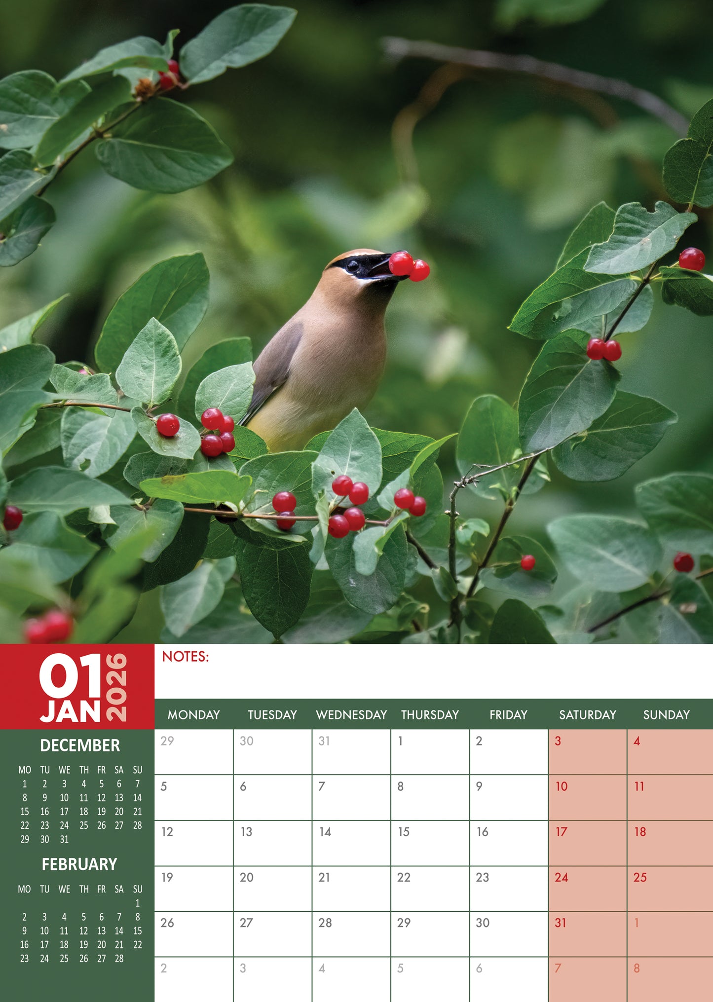 Garden Birds Calendar 2026 – A Year of Feathered Friends in Your Home