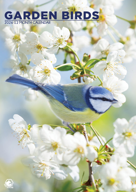Garden Birds Calendar 2026 – A Year of Feathered Friends in Your Home