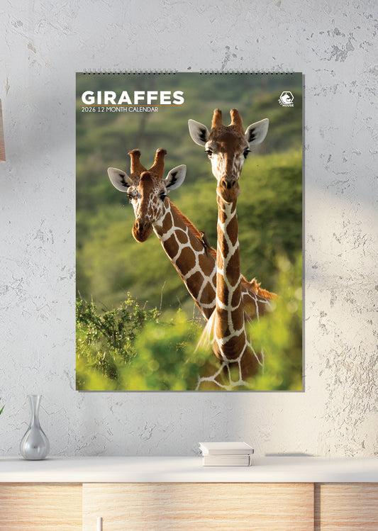 Giraffes Calendar 2026 – Embrace the Grace and Beauty of Giraffes