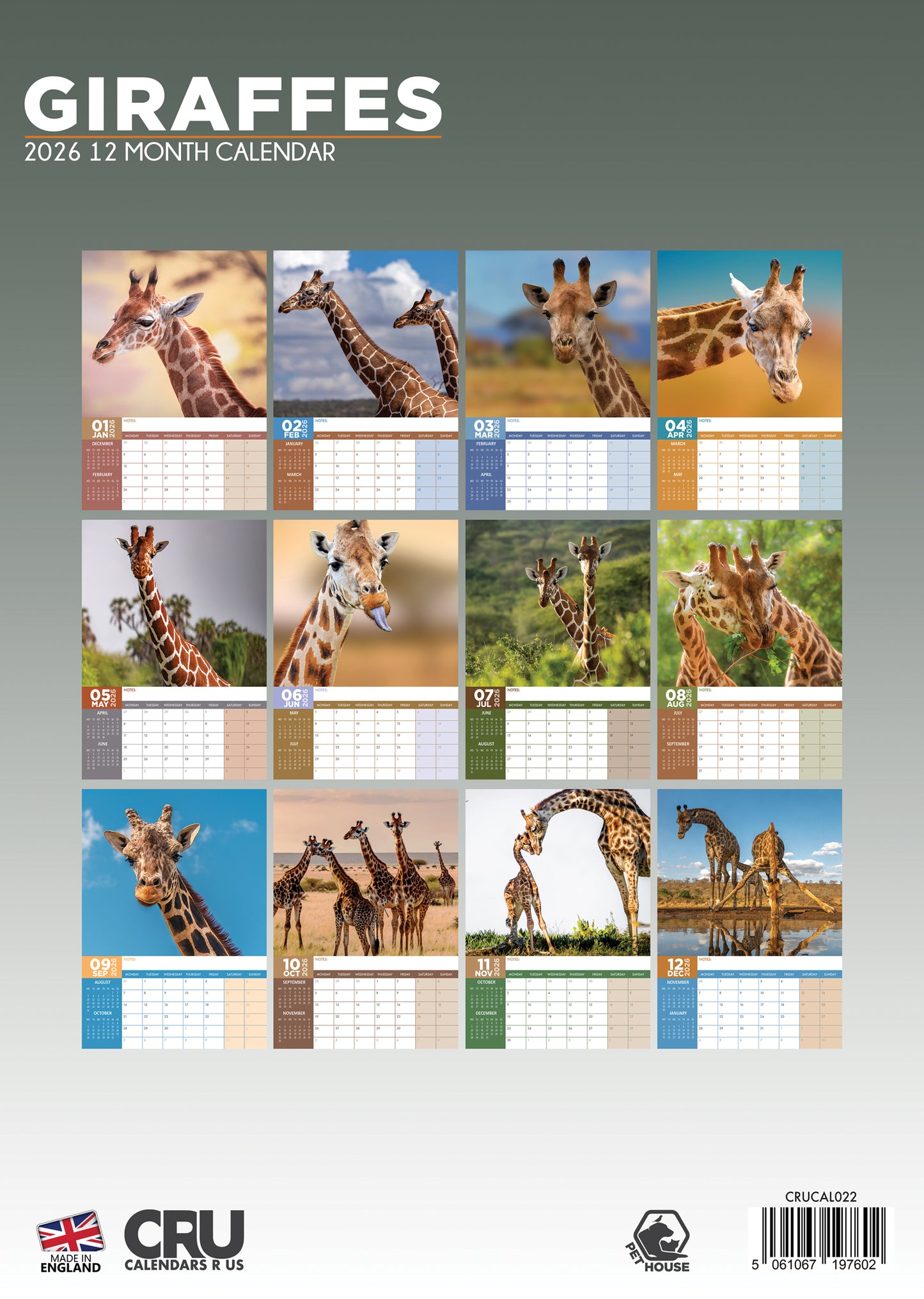 Giraffes Calendar 2026 – Embrace the Grace and Beauty of Giraffes