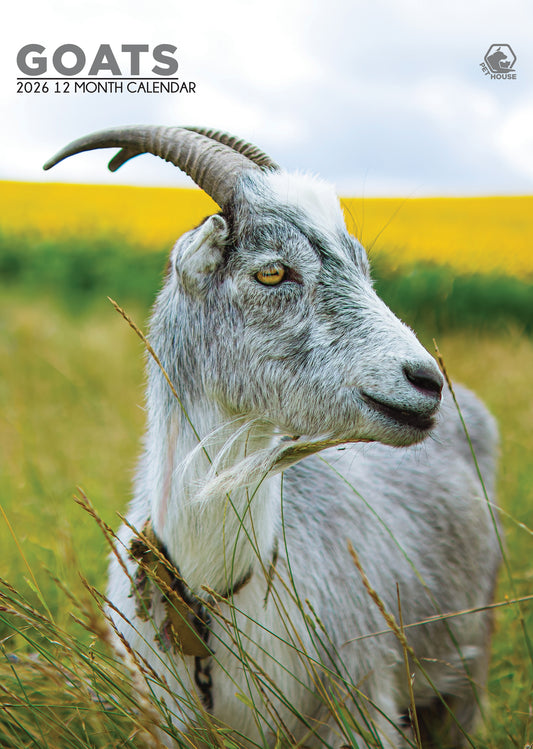 Goats Calendar 2026 – Celebrate the Playful Spirit of Goats